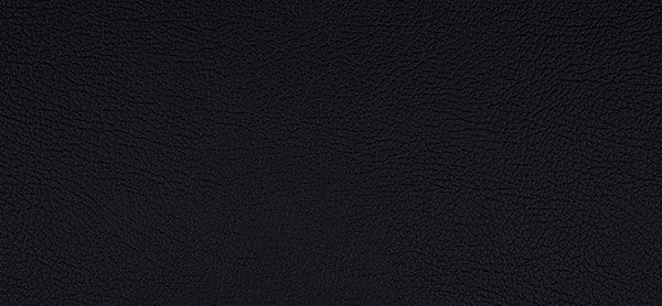 218x1981 Master Plus Kunstleder Meterware Anthrazit