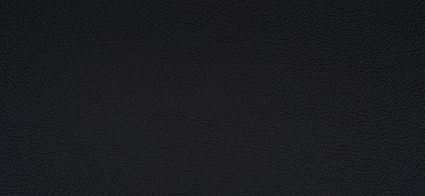 218x1984 Master Plus Kunstleder Meterware Anthrazit