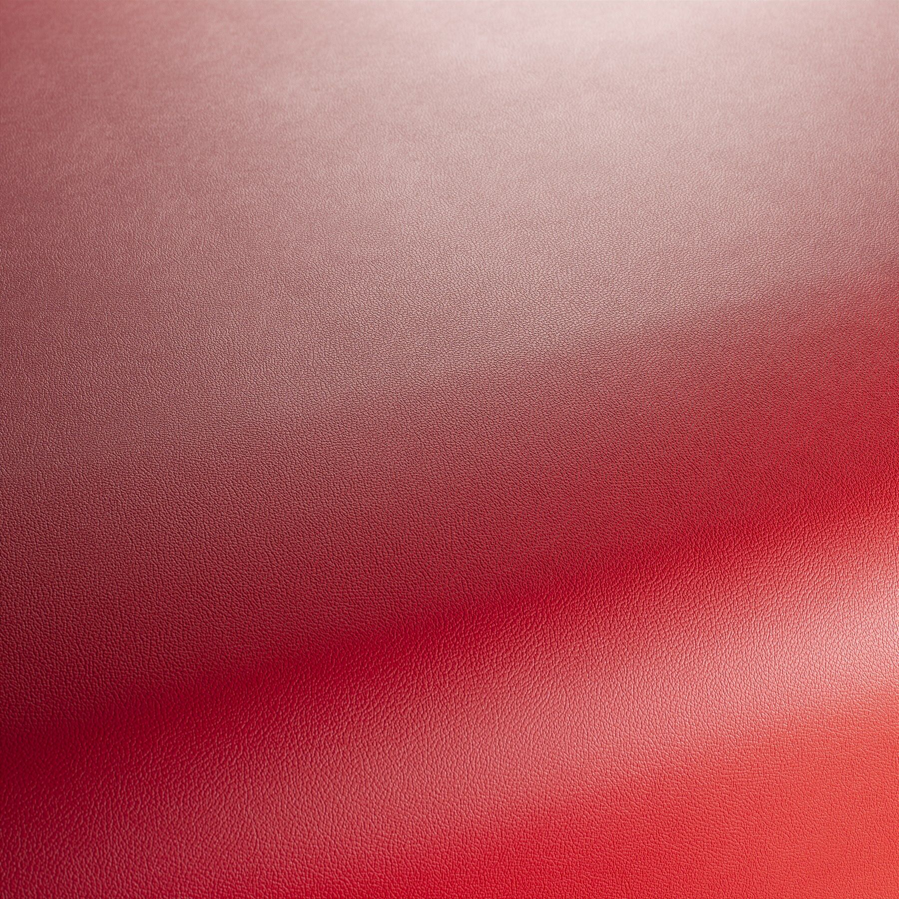 Ja1050 010 Gauchito Jab Anstoetz Kunstleder Meterware Rot