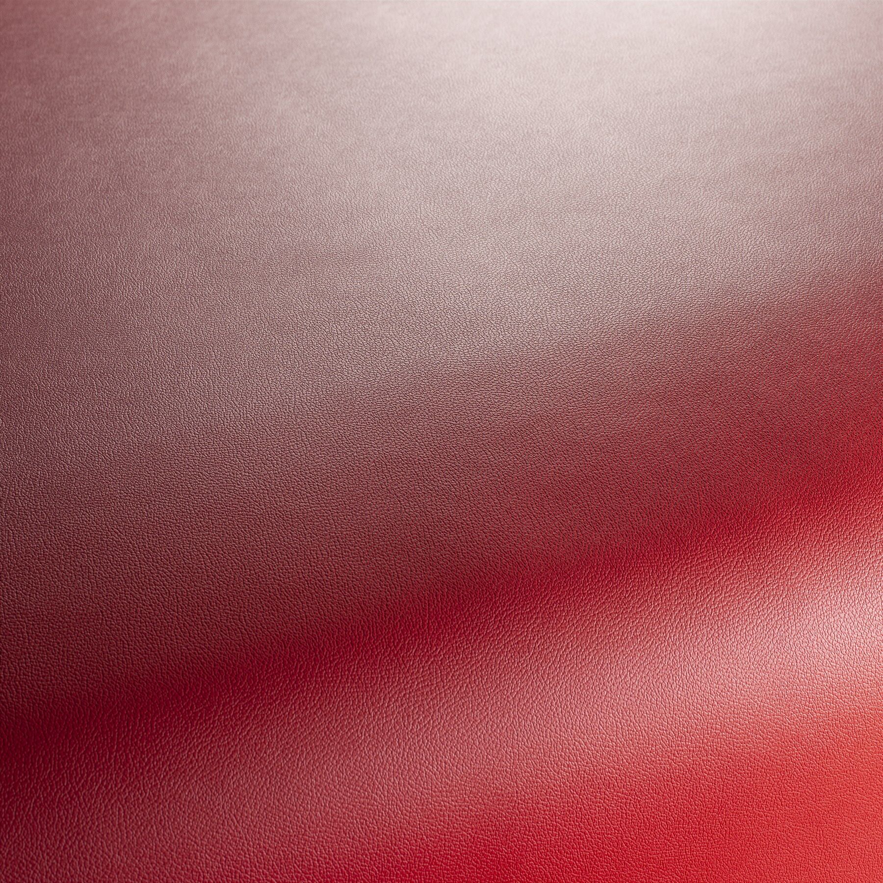 Ja1050 011 Gauchito Jab Anstoetz Kunstleder Meterware Rot