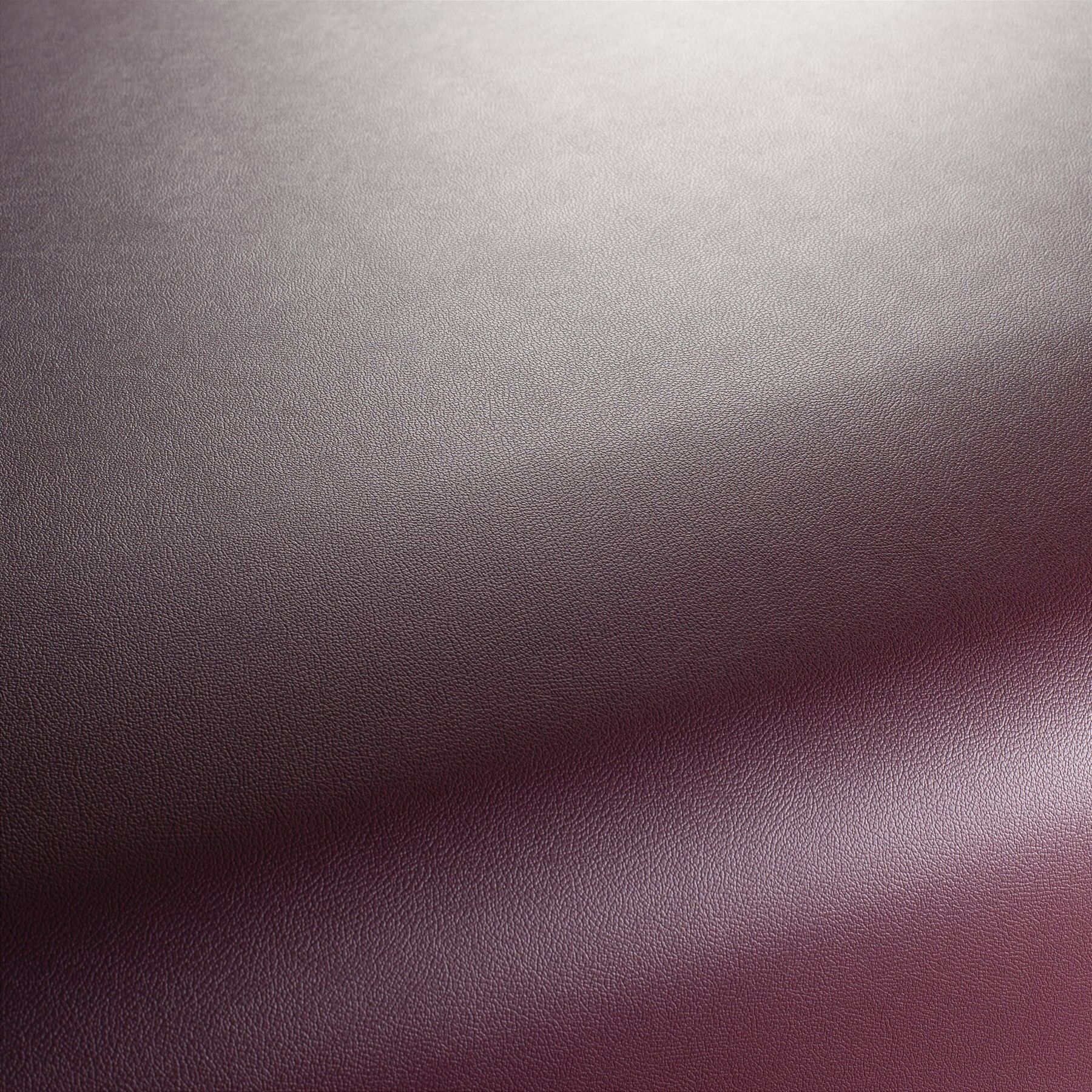 Ja1050 013 Gauchito Jab Anstoetz Kunstleder Meterware Rot Ja1050 013 Gauchito Jab Anstoetz Kunstleder Meterware Rot