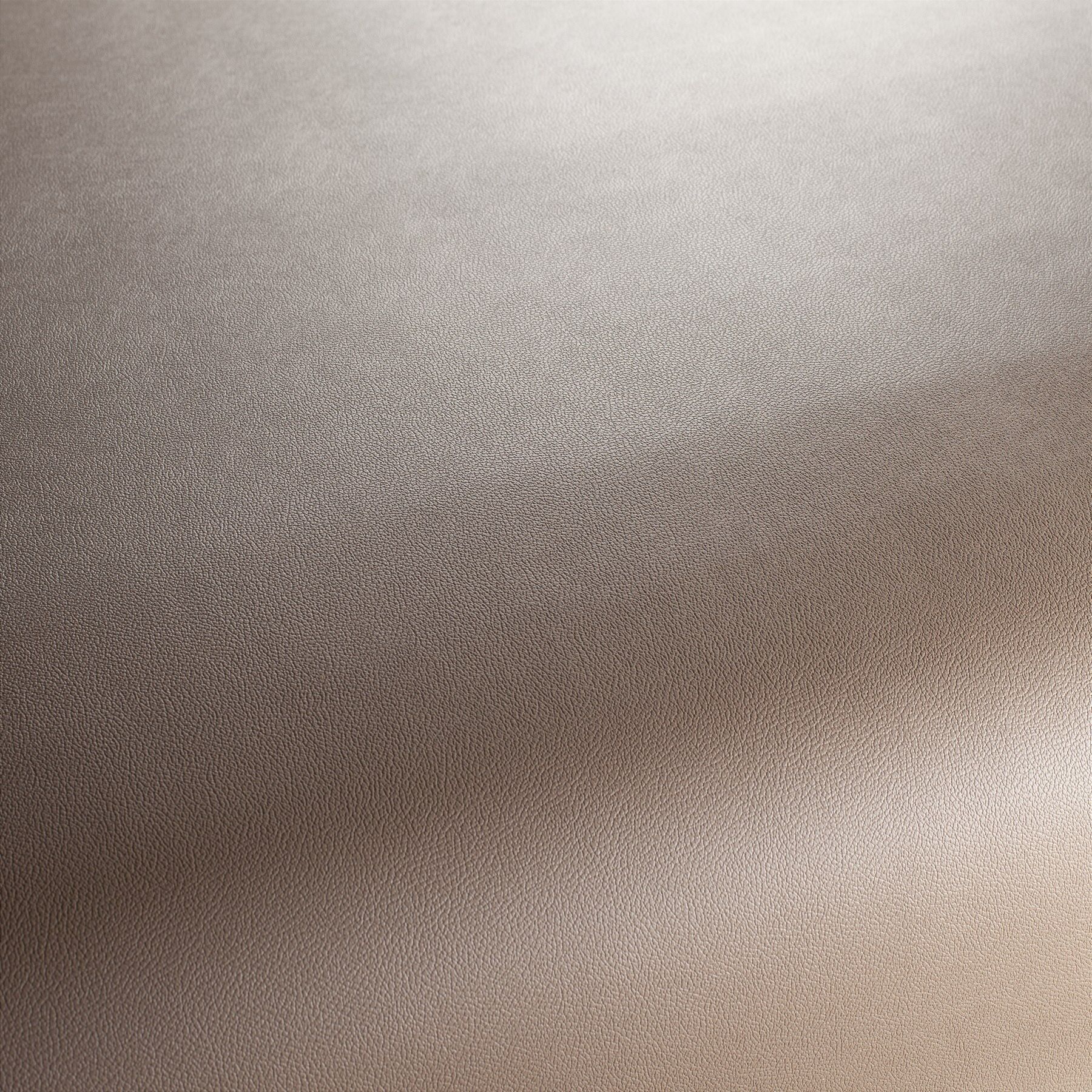 Ja1050 022 Gauchito Jab Anstoetz Kunstleder Meterware Braun