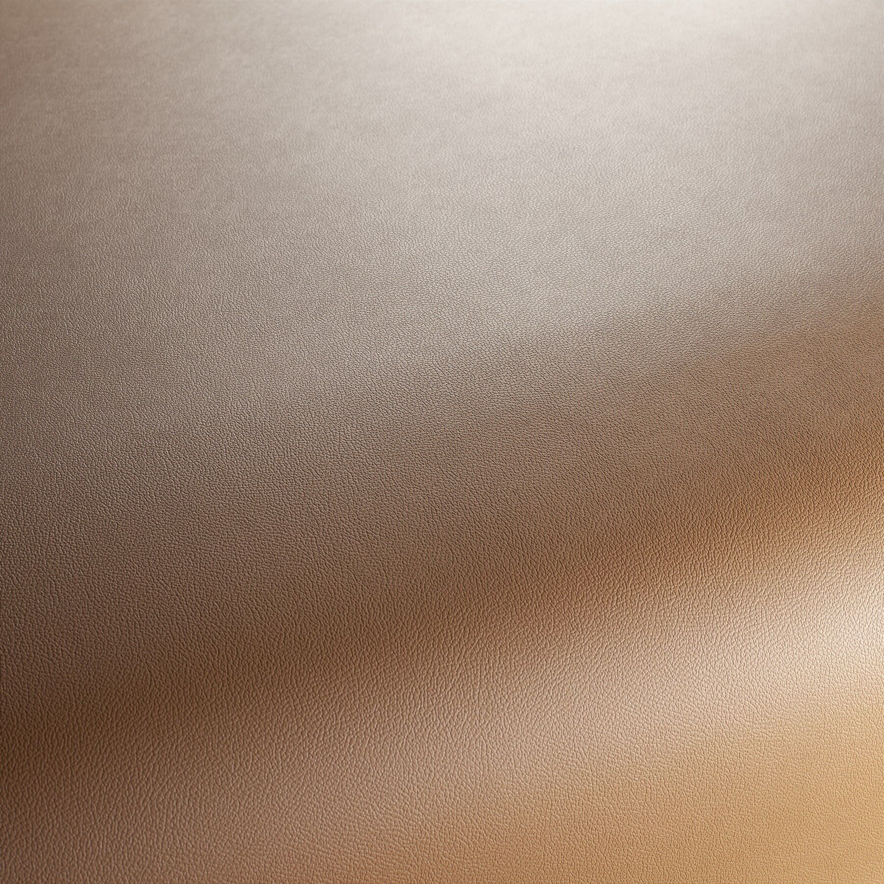 Ja1050 023 Gauchito Jab Anstoetz Kunstleder Meterware Braun