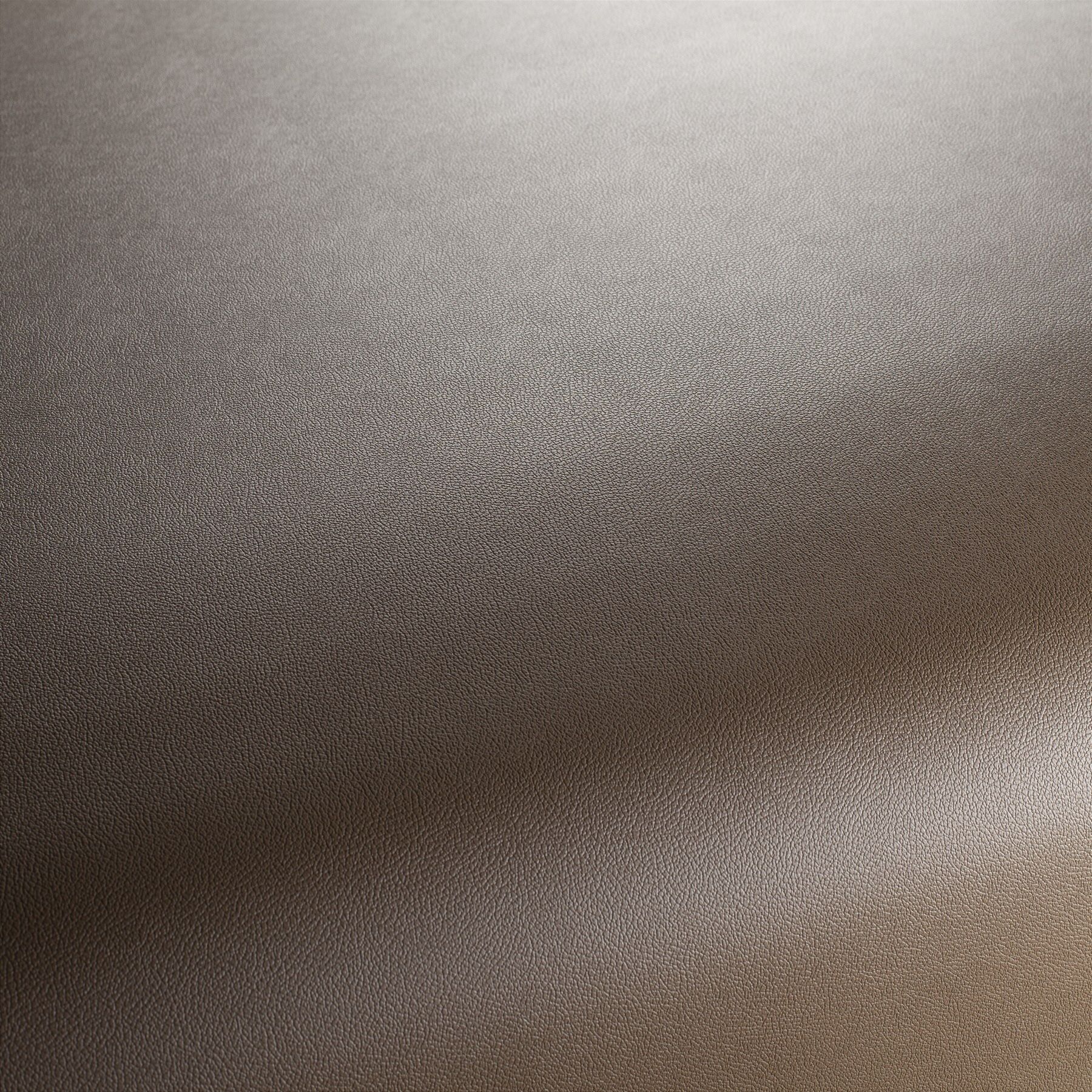 Ja1050 025 Gauchito Jab Anstoetz Kunstleder Meterware Braun