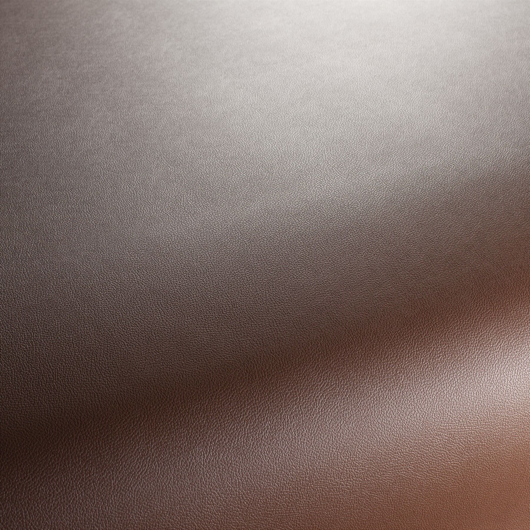 Ja1050 026 Gauchito Jab Anstoetz Kunstleder Meterware Braun