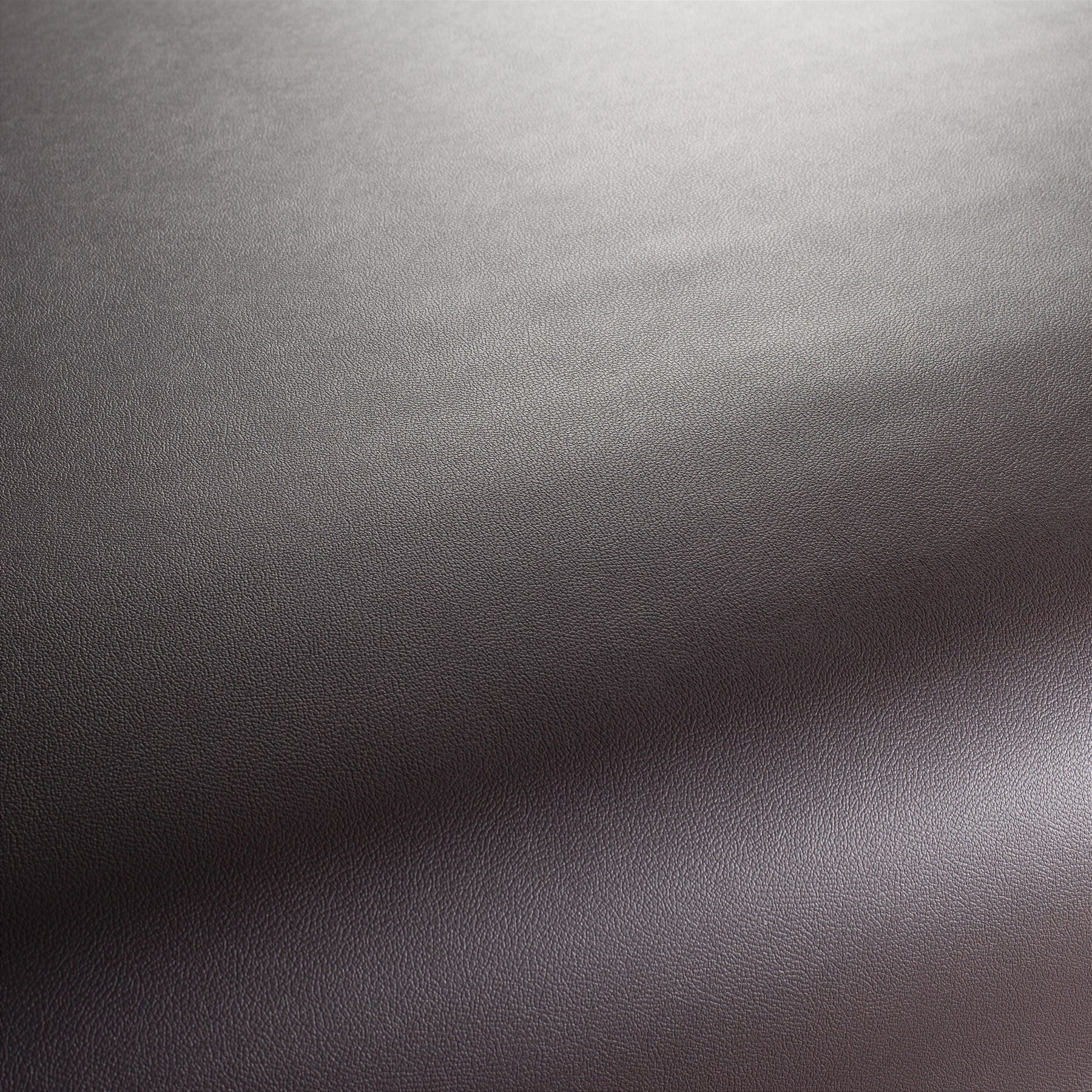 Ja1050 028 Gauchito Jab Anstoetz Kunstleder Meterware Braun