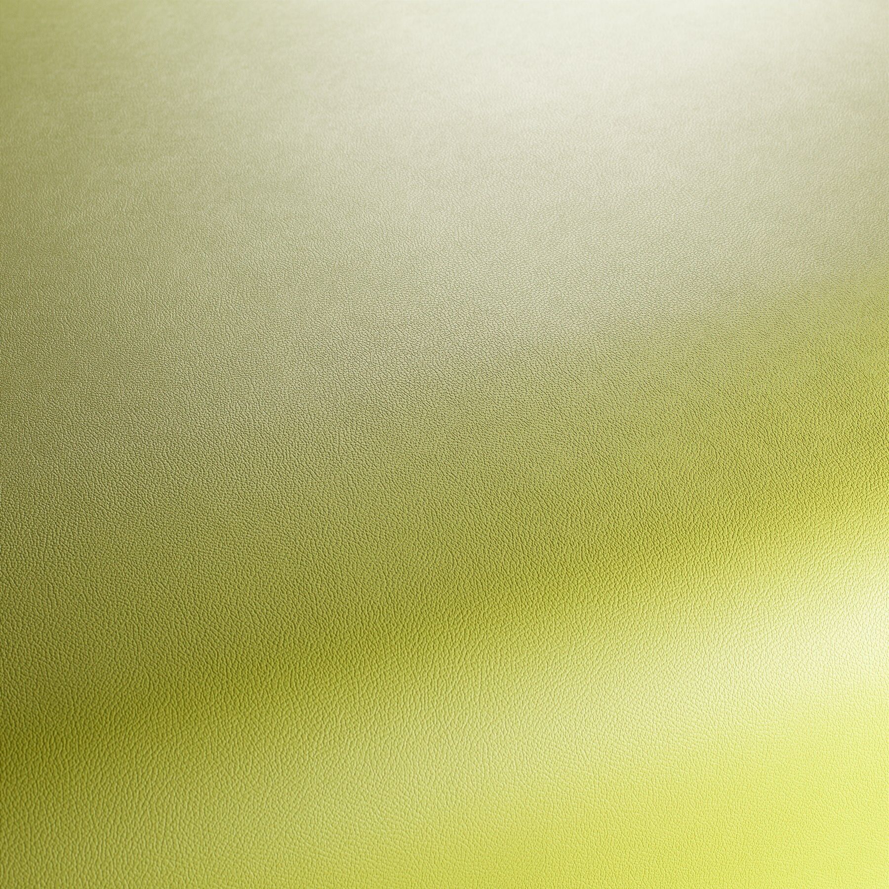 Ja1050 031 Gauchito Jab Anstoetz Kunstleder Meterware Gruen