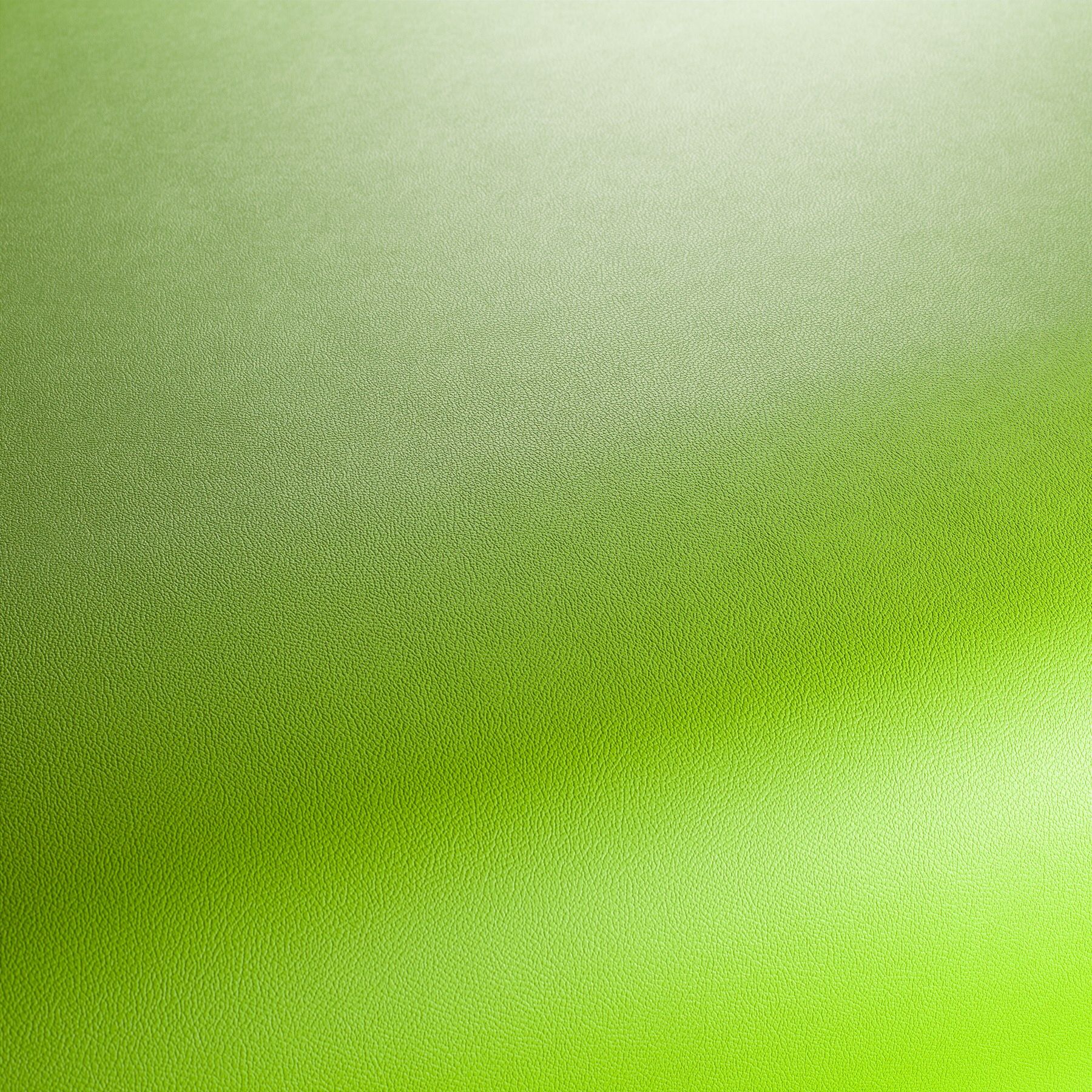 Ja1050 032 Gauchito Jab Anstoetz Kunstleder Meterware Gruen Ja1050 032 Gauchito Jab Anstoetz Kunstleder Meterware Gruen