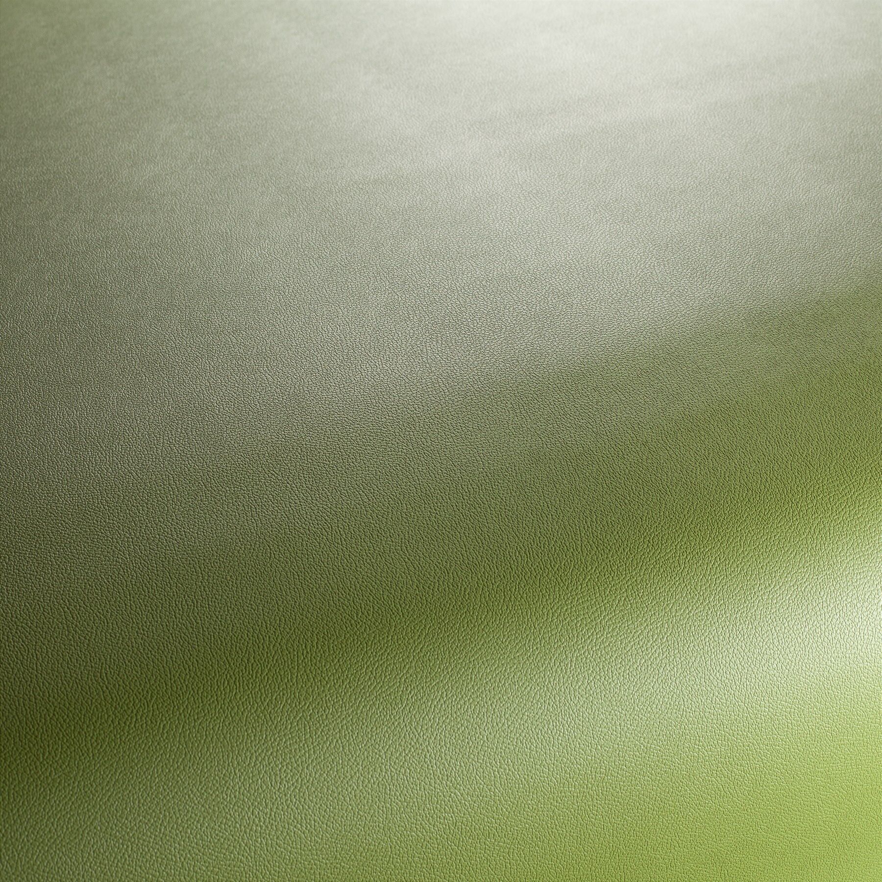 Ja1050 033 Gauchito Jab Anstoetz Kunstleder Meterware Gruen