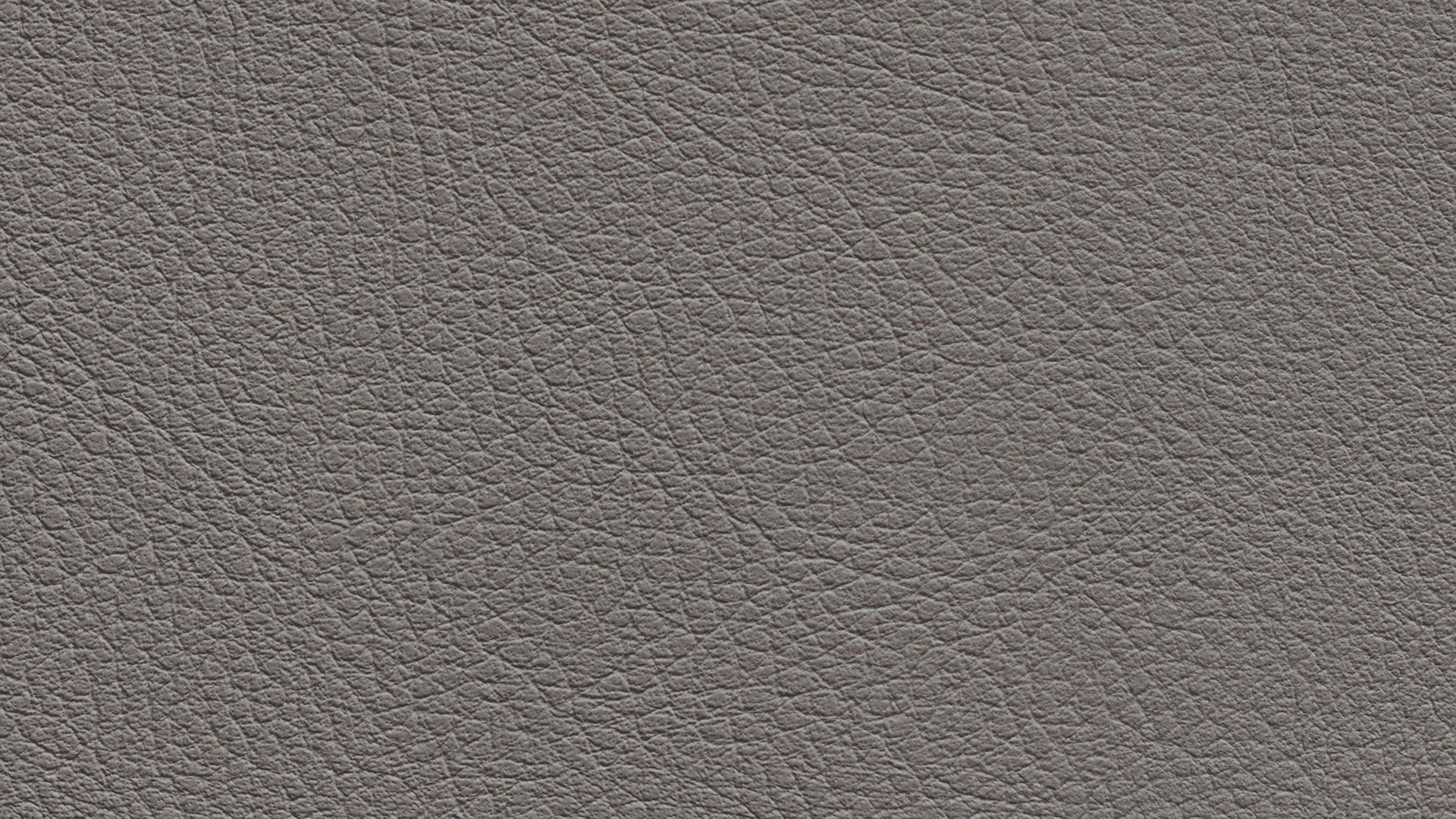 331443 Sk Chance Sonnhaus Kunstleder Meterware Grau