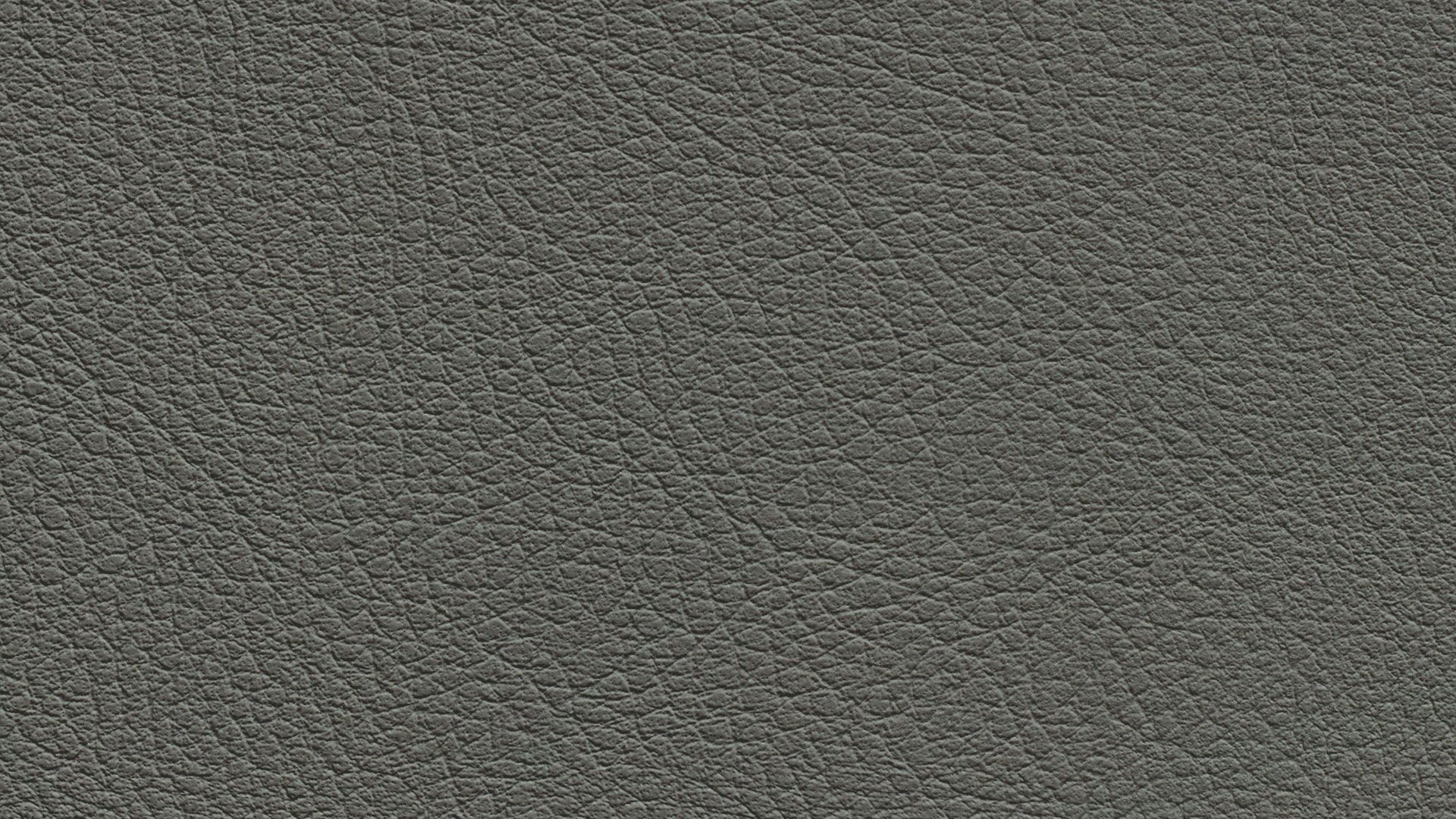 331450 Sk Chance Sonnhaus Kunstleder Meterware Grau