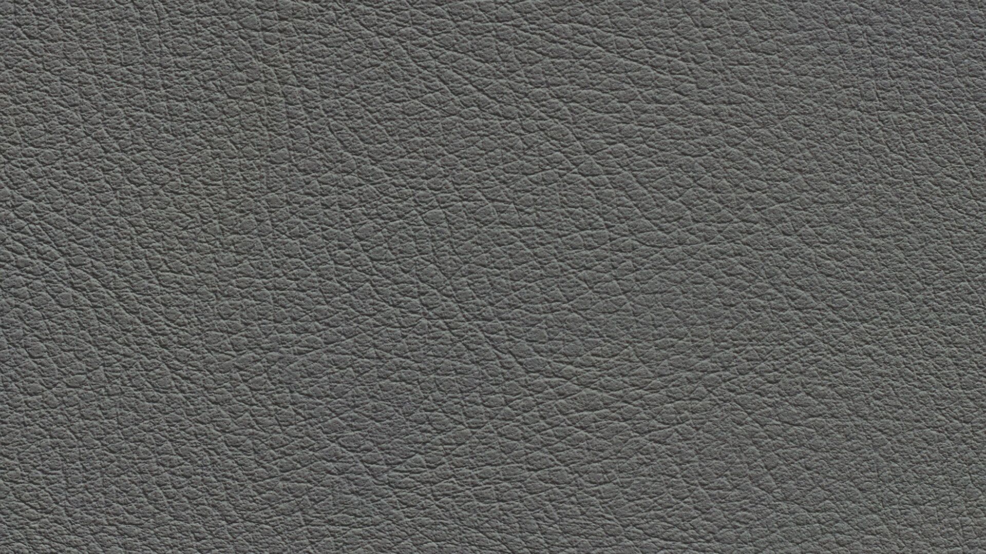 331453 Sk Chance Sonnhaus Kunstleder Meterware Grau