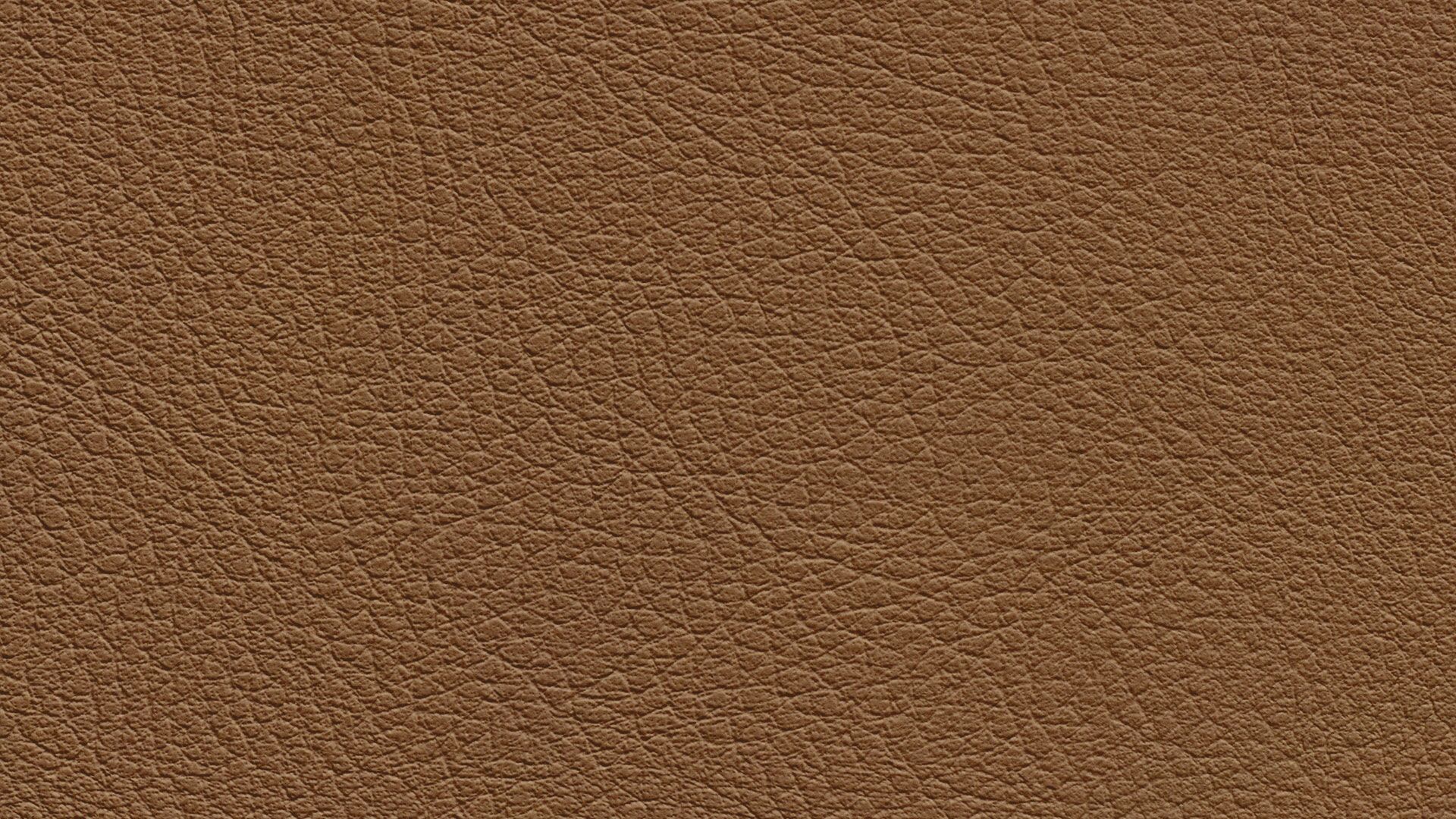 331496 Sk Chance Sonnhaus Kunstleder Meterware Braun