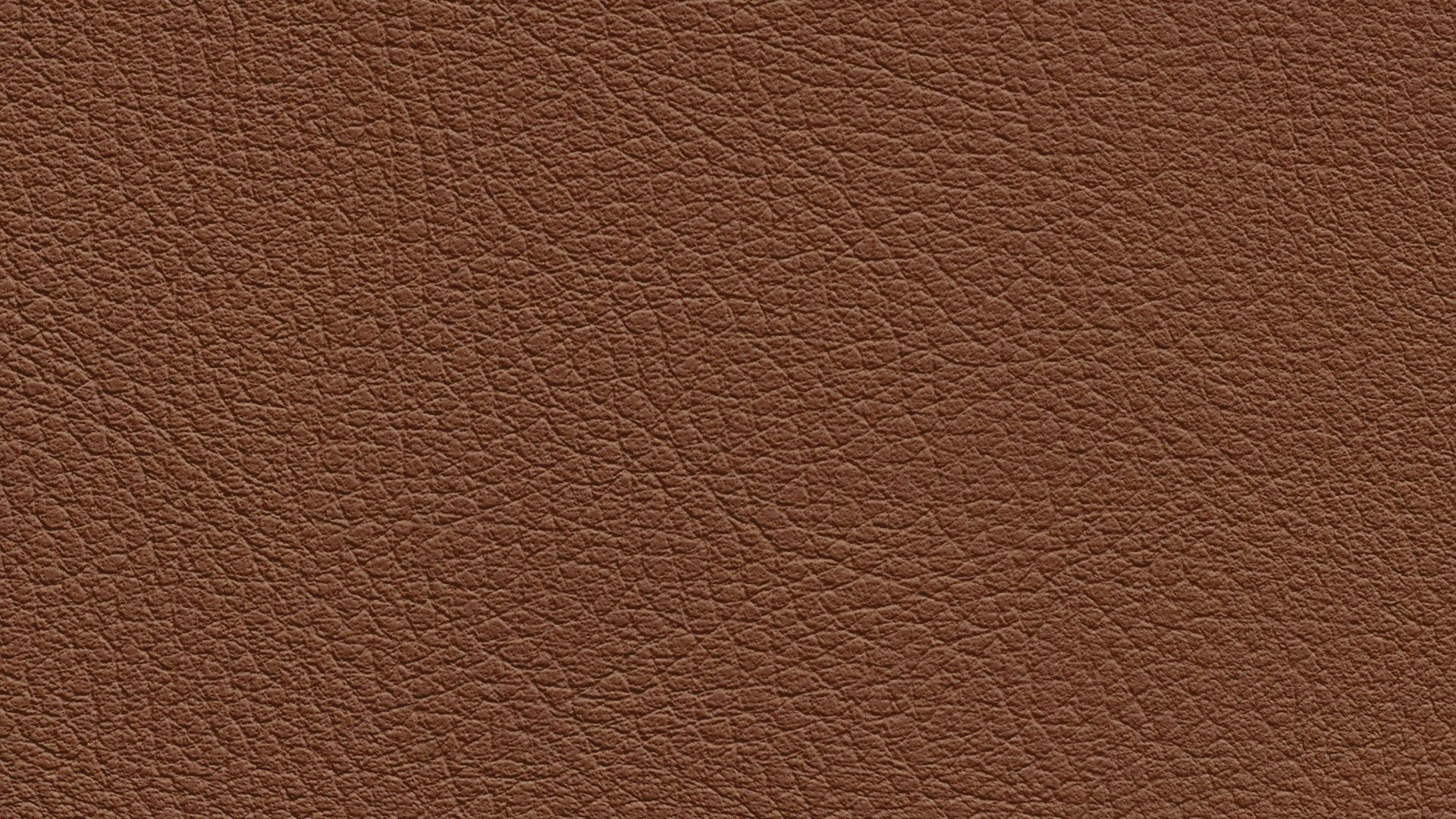 331498 Sk Chance Sonnhaus Kunstleder Meterware Braun