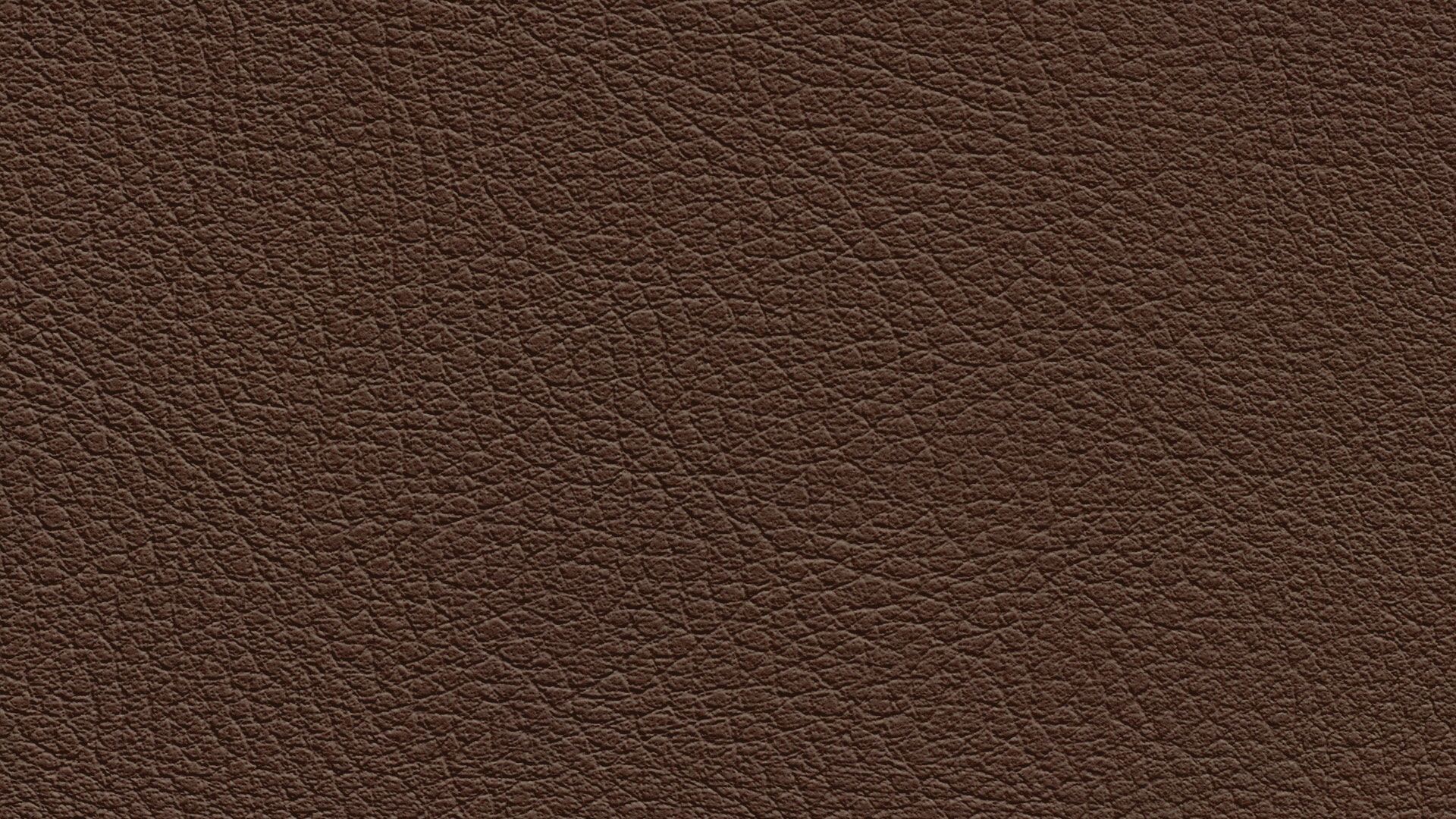 331505 Sk Chance Sonnhaus Kunstleder Meterware Braun