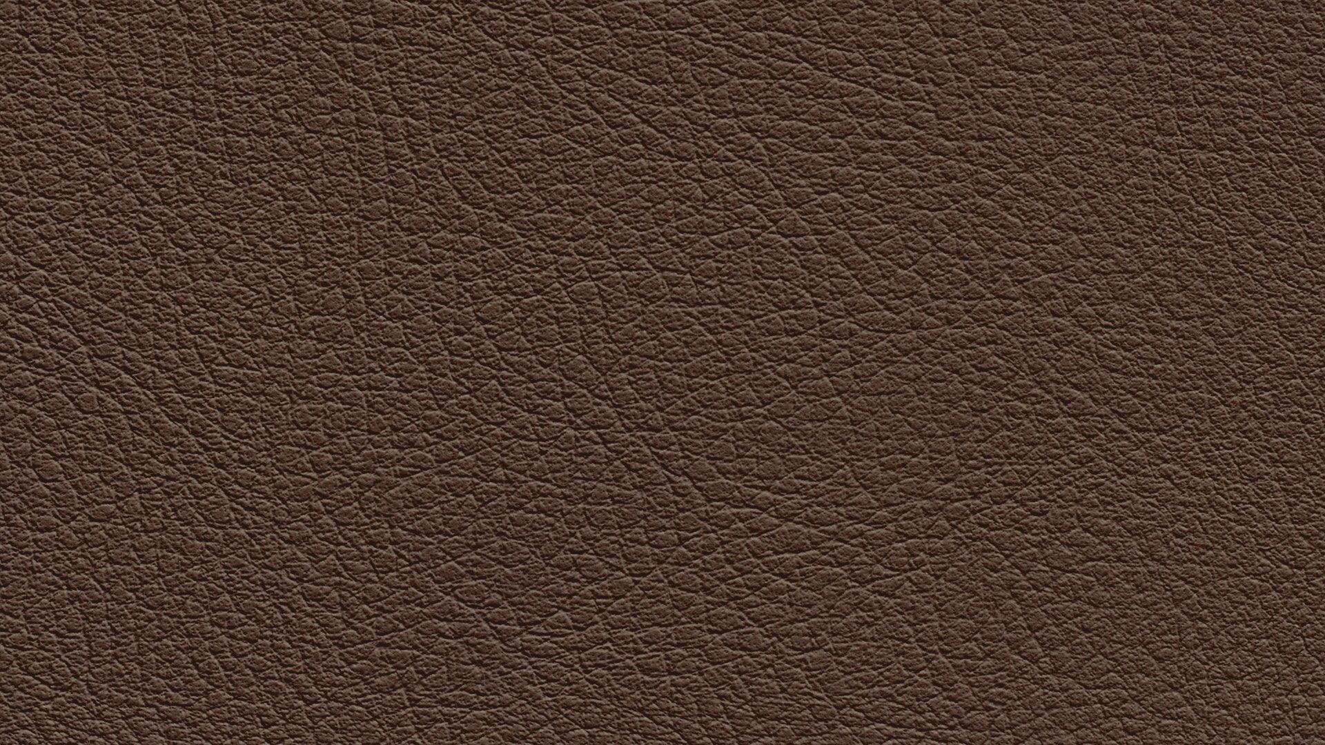 331508 Sk Chance Sonnhaus Kunstleder Meterware Braun