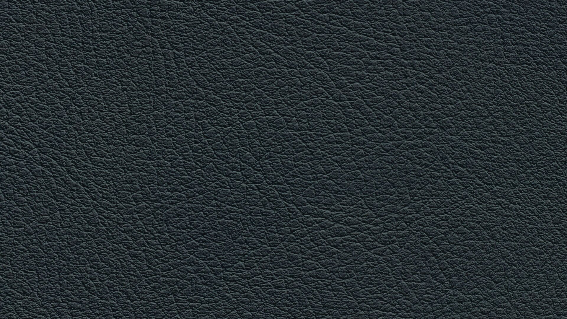 331539 Sk Chance Sonnhaus Kunstleder Meterware Schwarz Blau