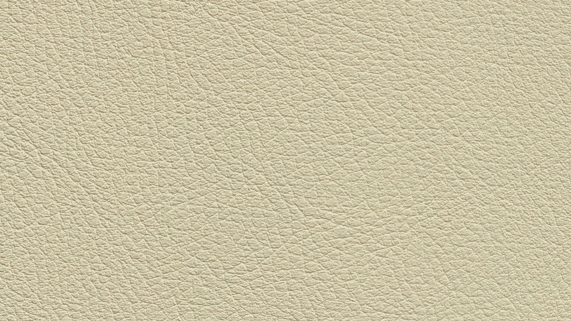 331563 Sk Chance Sonnhaus Kunstleder Meterware Creme Beige