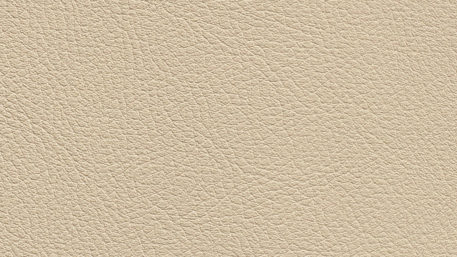 331565 Sk Chance Sonnhaus Kunstleder Meterware Creme Beige