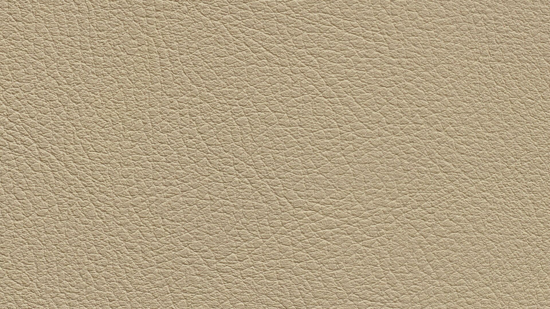 331568 Sk Chance Sonnhaus Kunstleder Meterware Beige