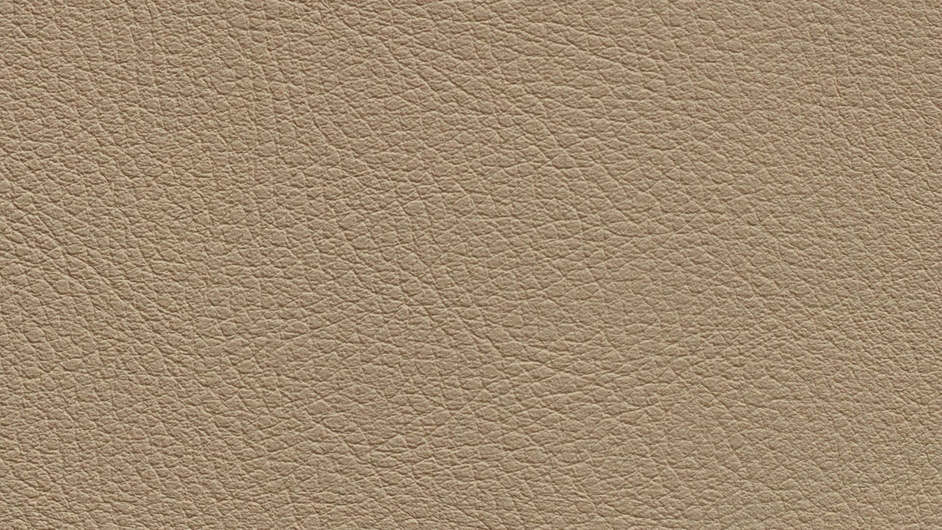 331572 Sk Chance Sonnhaus Kunstleder Meterware Beige