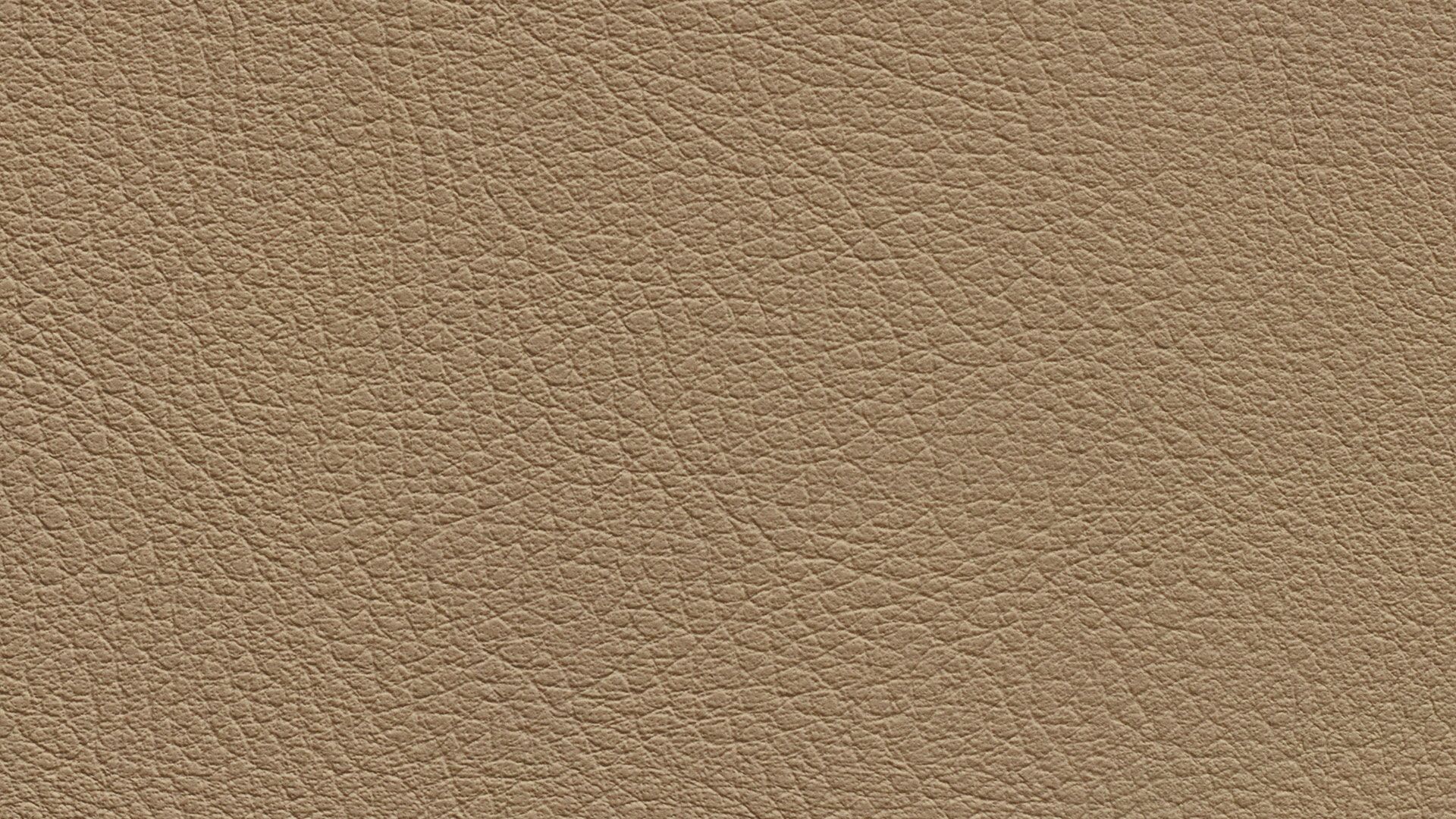 331574 Sk Chance Sonnhaus Kunstleder Meterware Beige