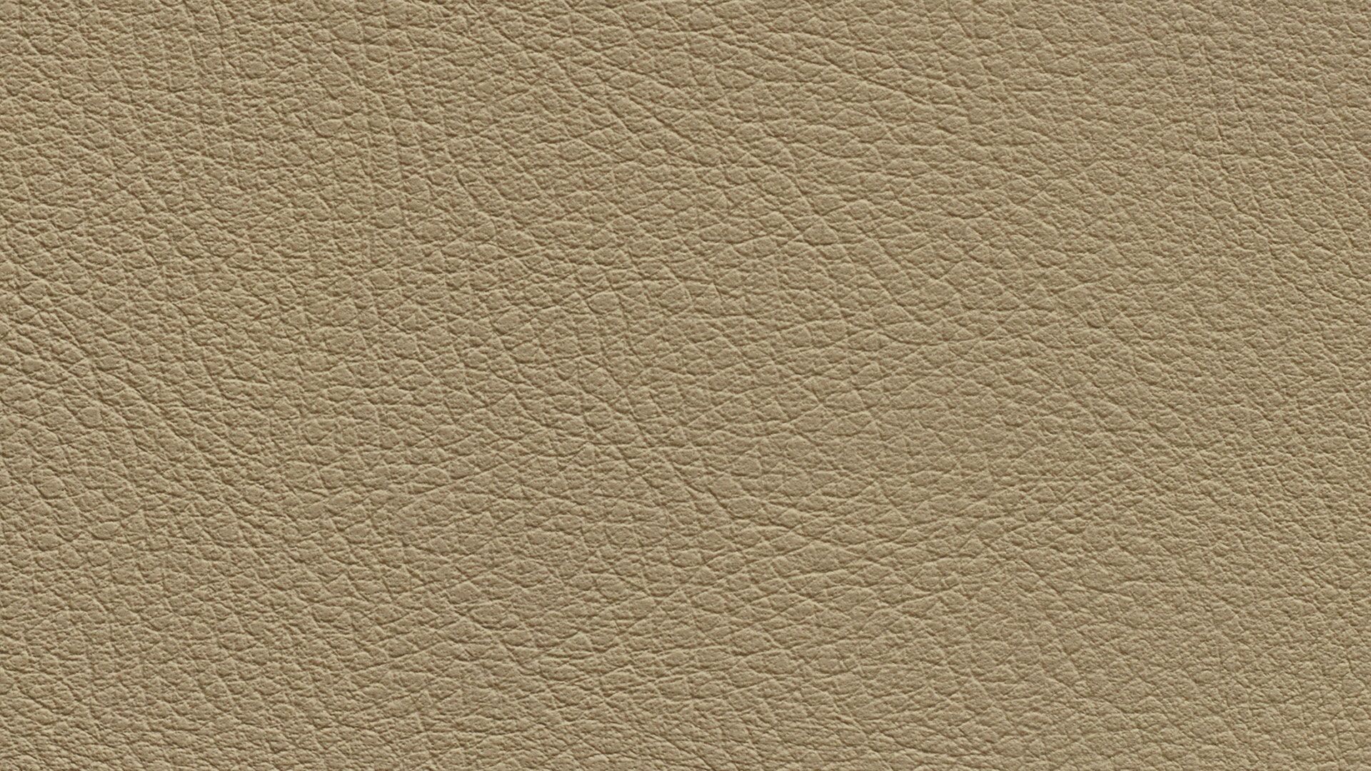 331575 Sk Chance Sonnhaus Kunstleder Meterware Beige