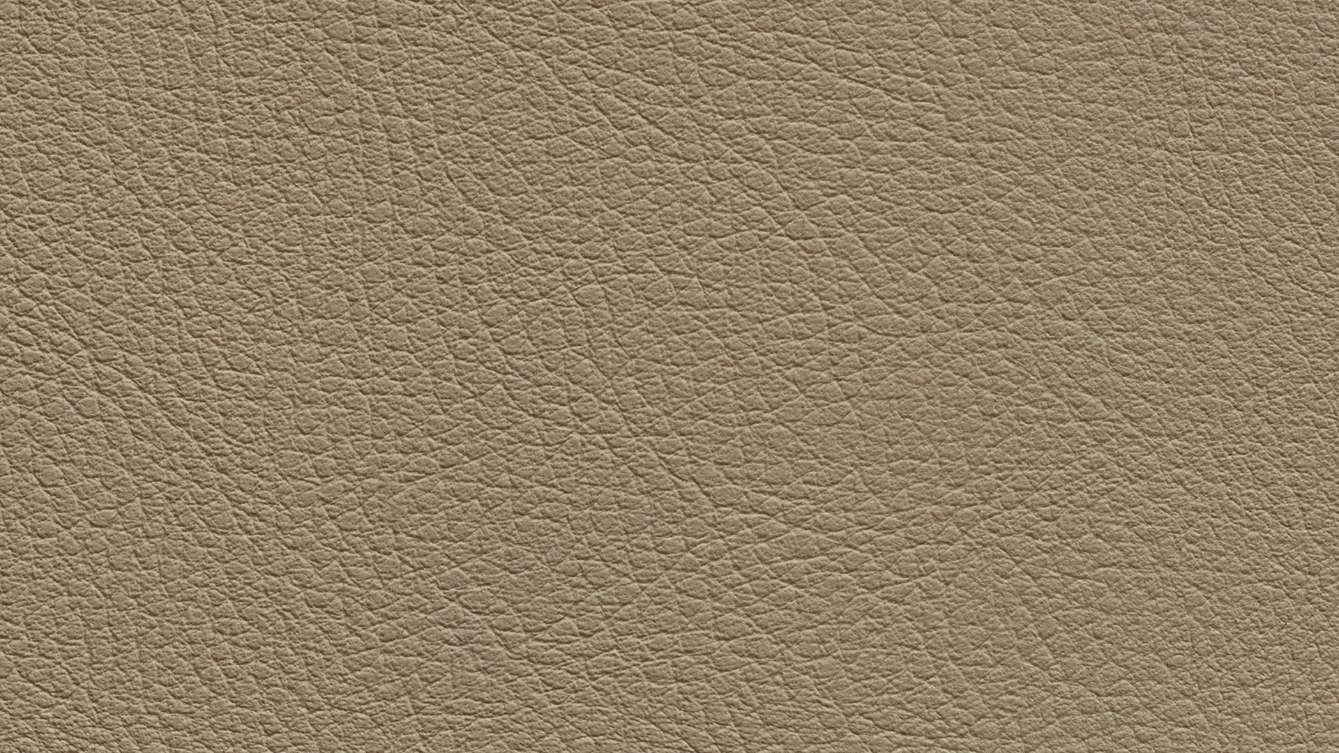 331576 Sk Chance Sonnhaus Kunstleder Meterware Beige