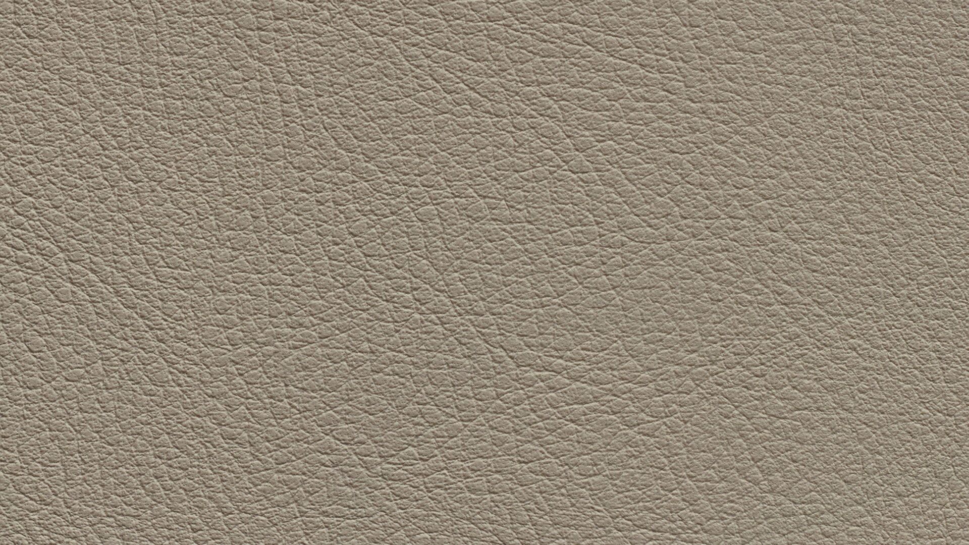 331577 Sk Chance Sonnhaus Kunstleder Meterware Beige Grau