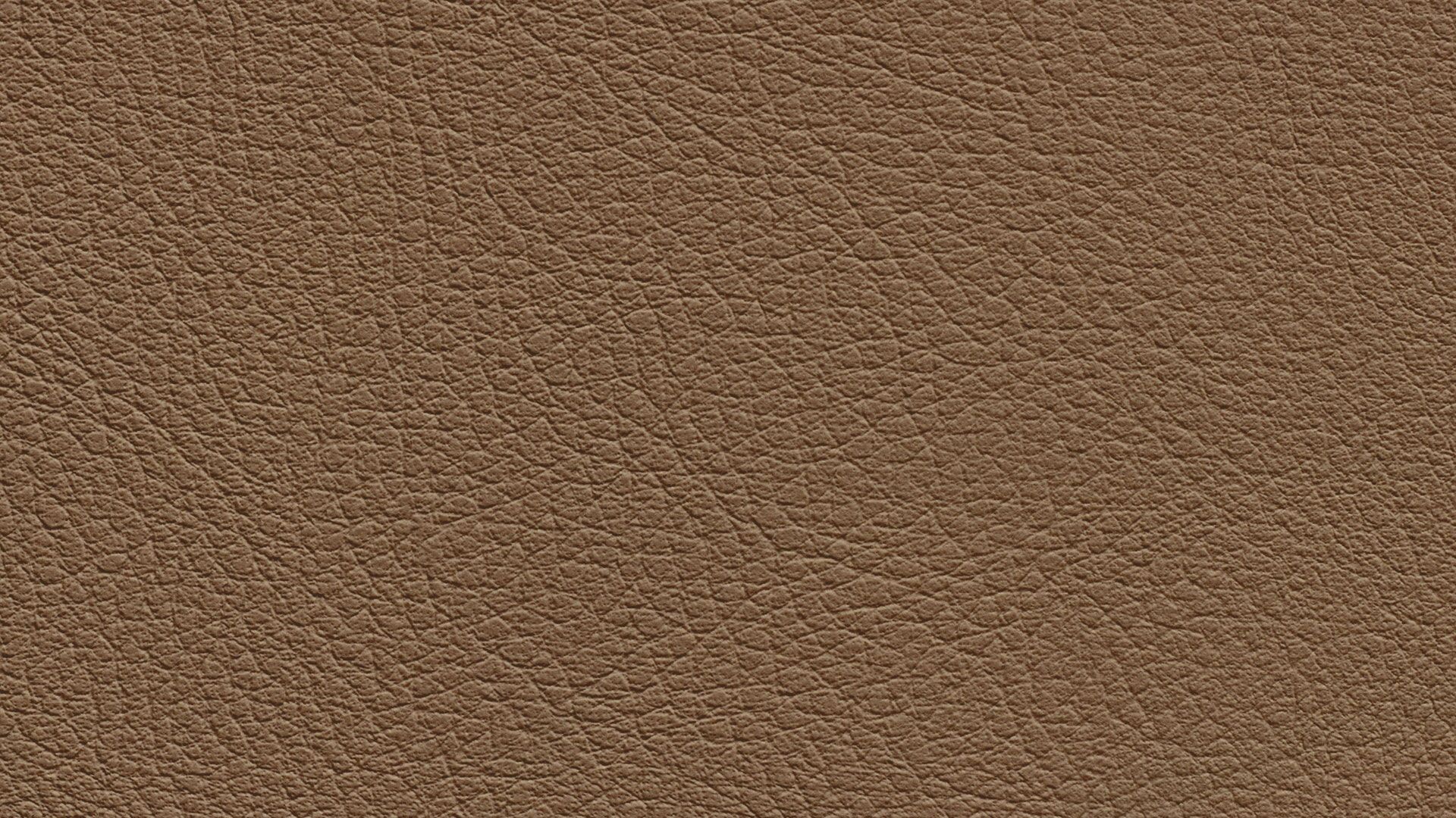 331581 Sk Chance Sonnhaus Kunstleder Meterware Braun