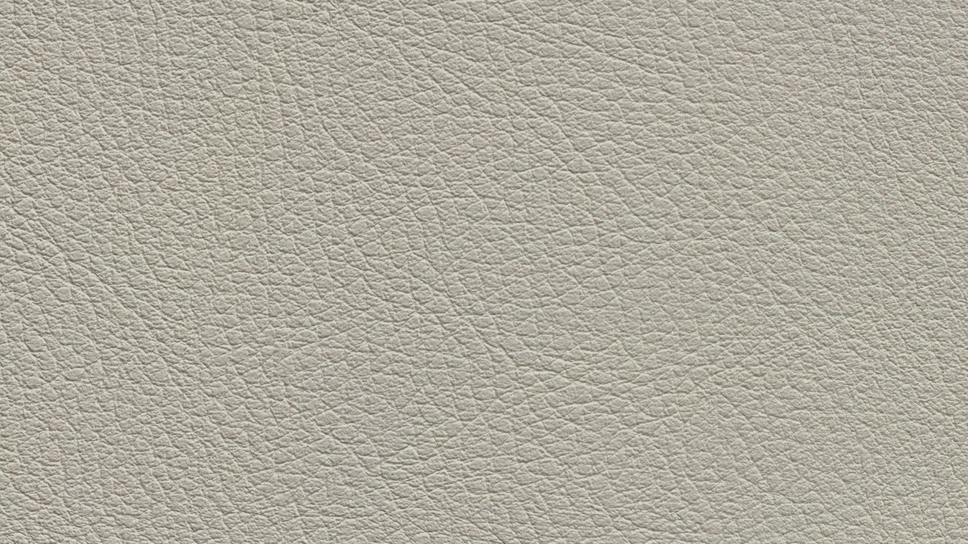 331619 Sk Chance Sonnhaus Kunstleder Meterware Weiss Grau