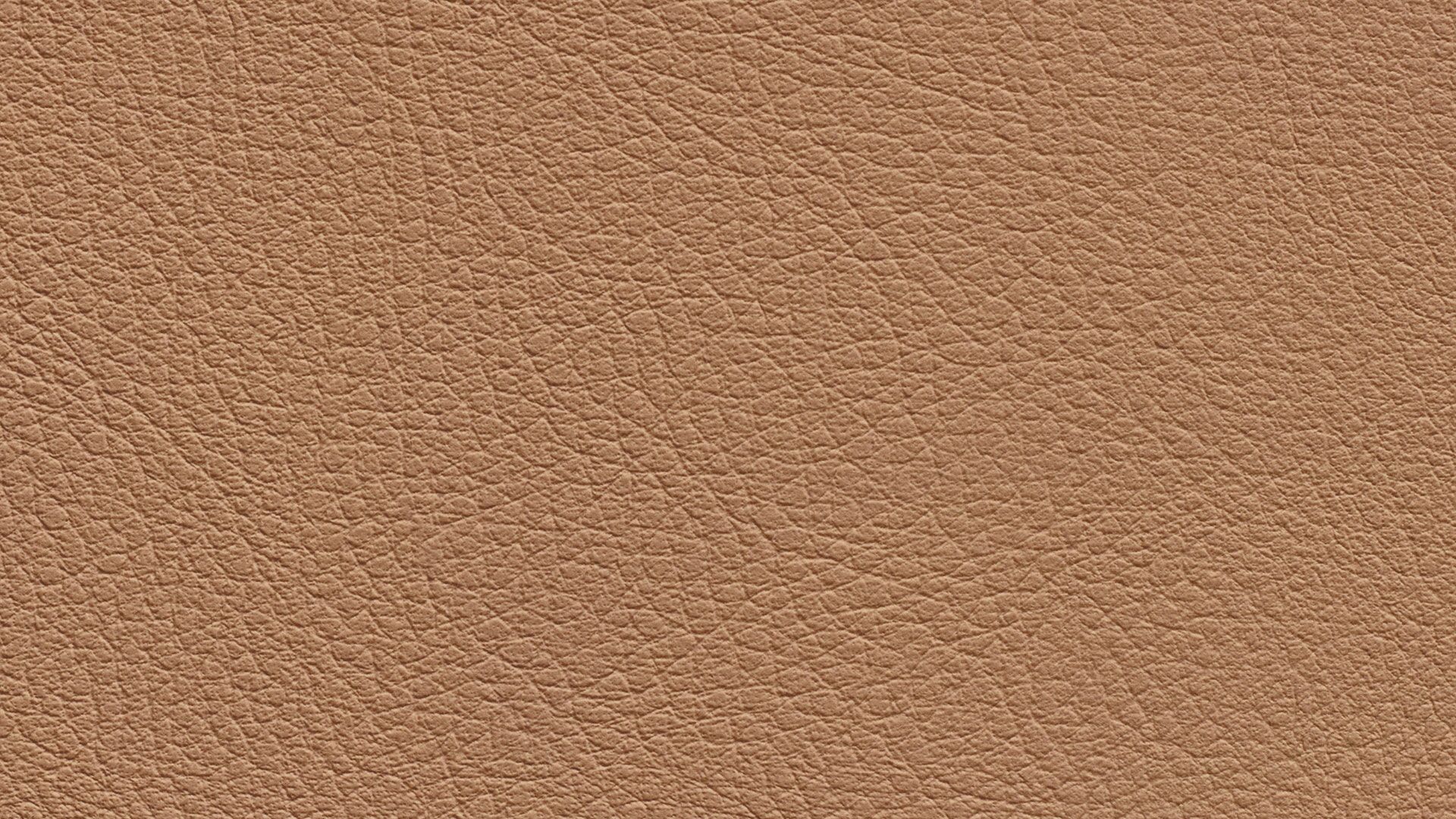 331630 Sk Chance Sonnhaus Kunstleder Meterware Braun