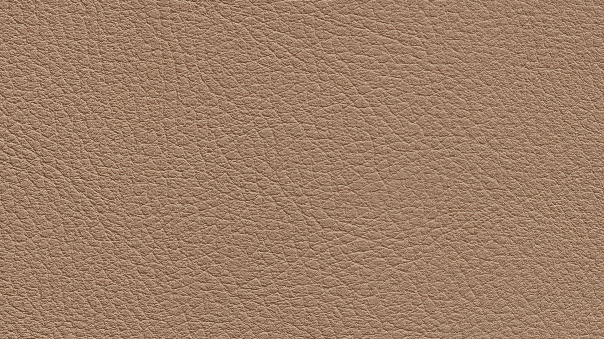 331631 Sk Chance Sonnhaus Kunstleder Meterware Braun 331631 Sk Chance Sonnhaus Kunstleder Meterware Braun