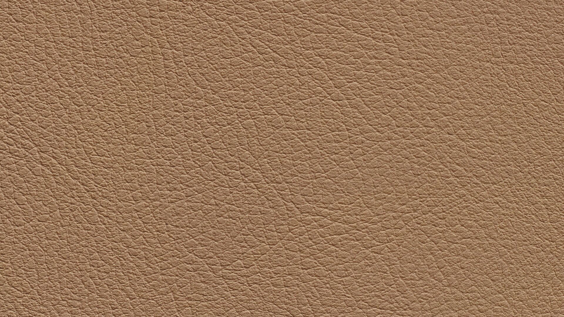 331632 Sk Chance Sonnhaus Kunstleder Meterware Braun