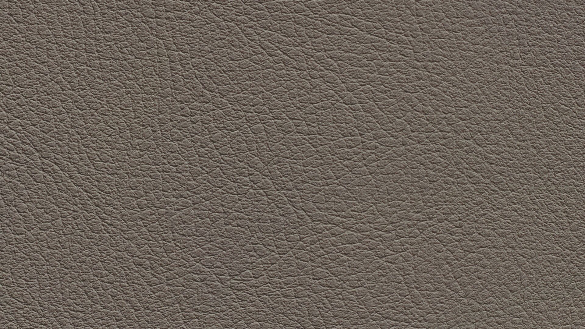 331639 Sk Chance Sonnhaus Kunstleder Meterware Braun Grau