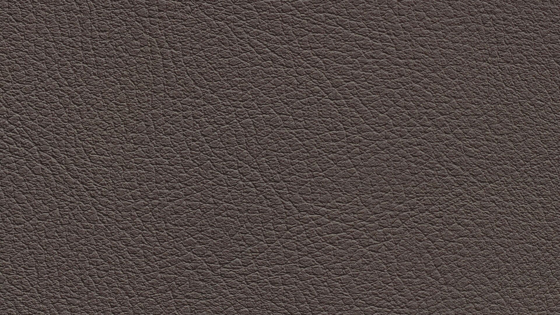 331641 Sk Chance Sonnhaus Kunstleder Meterware Braun