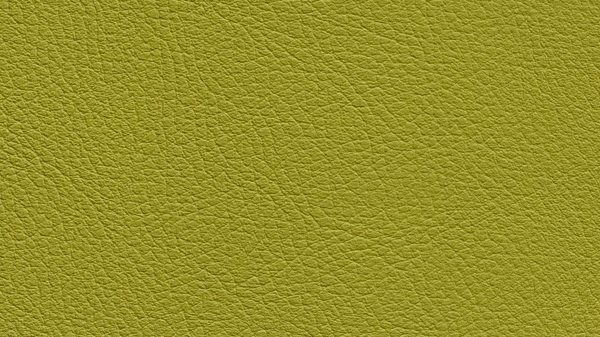 331644 Sk Chance Sonnhaus Kunstleder Meterware Gruen