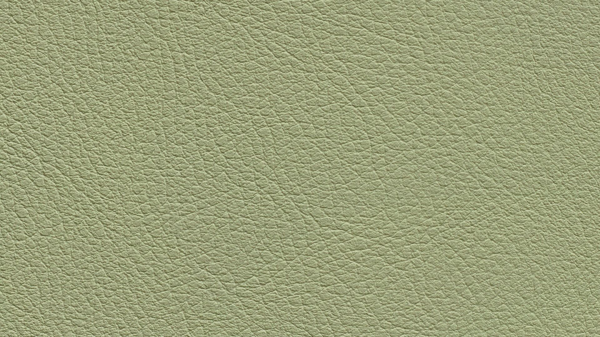 331647 Sk Chance Sonnhaus Kunstleder Meterware Gruen