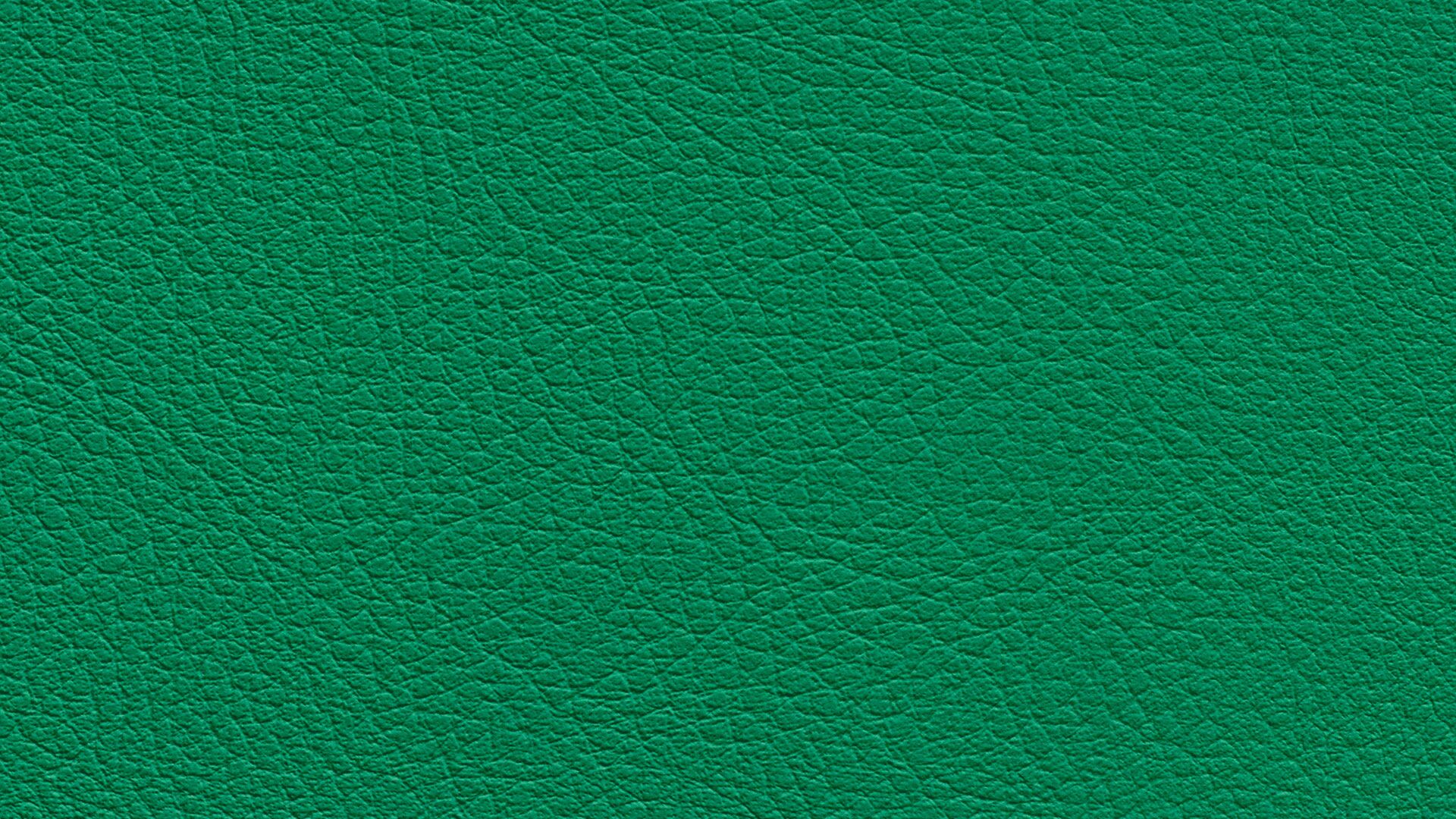 331651 Sk Chance Sonnhaus Kunstleder Meterware Gruen