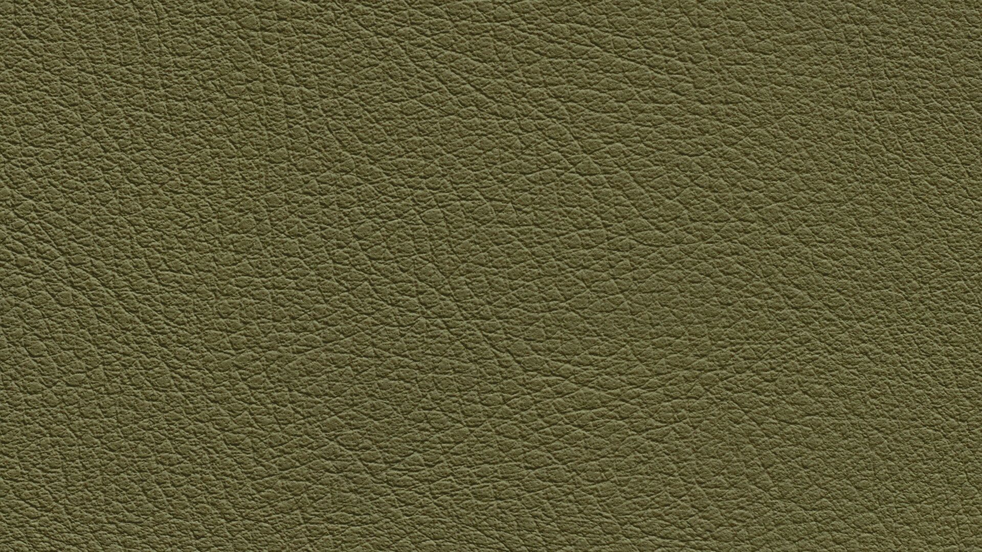 331653 Sk Chance Sonnhaus Kunstleder Meterware Gruen