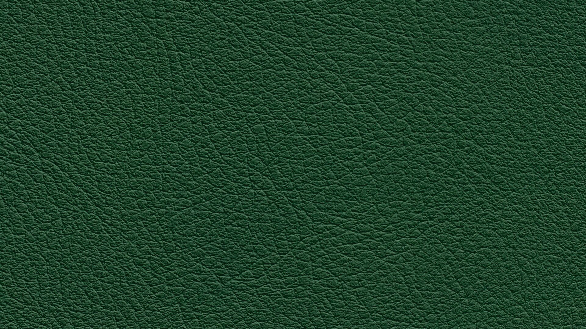 331655 Sk Chance Sonnhaus Kunstleder Meterware Gruen