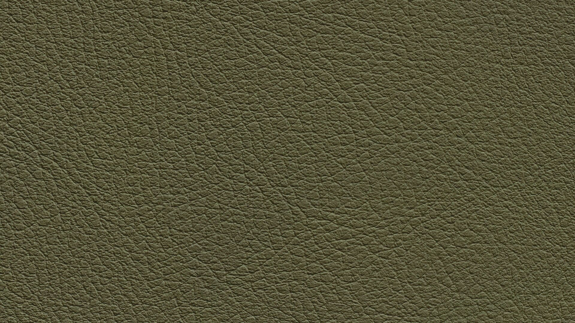 331657 Sk Chance Sonnhaus Kunstleder Meterware Gruen