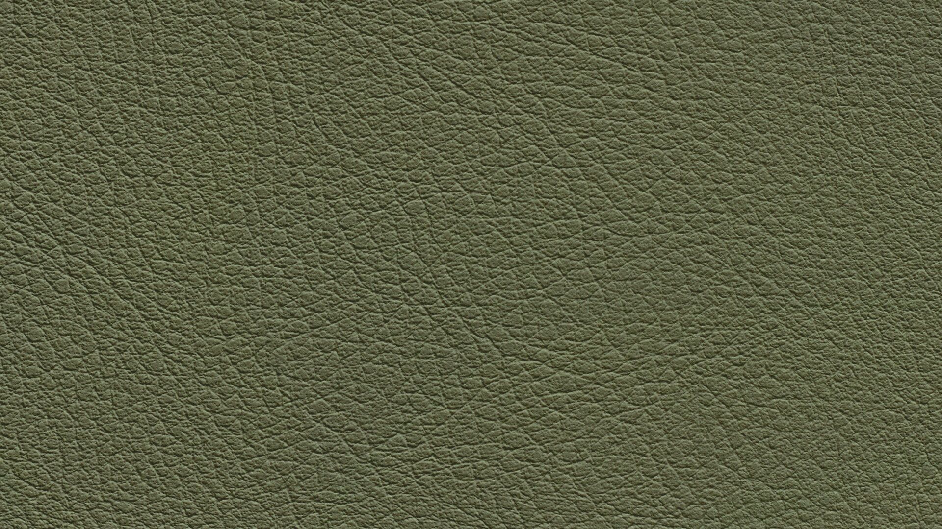 331658 Sk Chance Sonnhaus Kunstleder Meterware Gruen