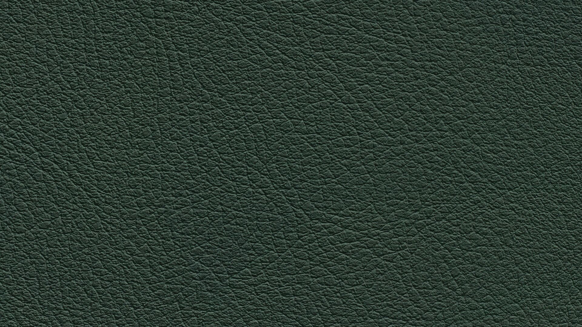 331662 Sk Chance Sonnhaus Kunstleder Meterware Gruen