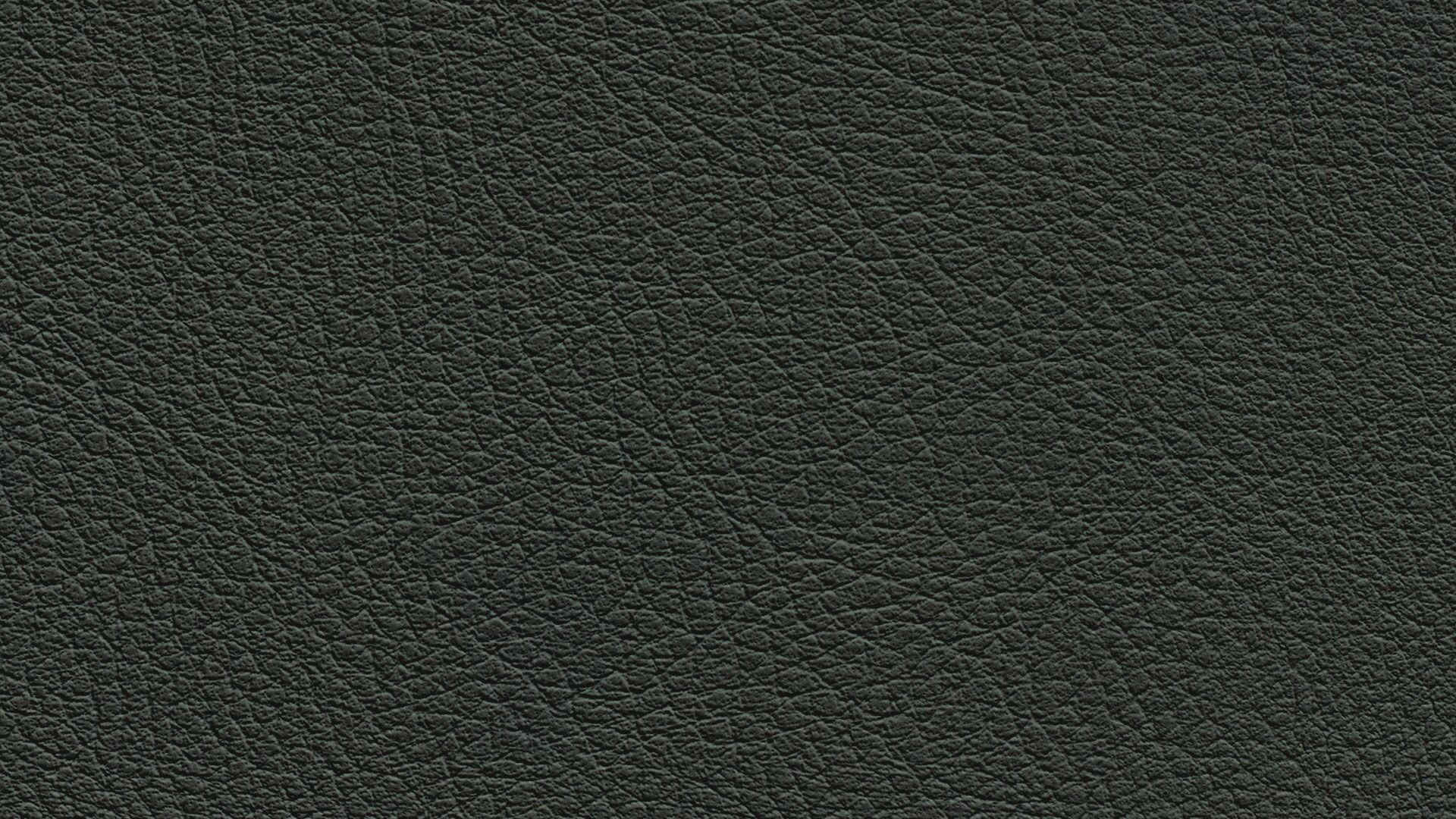 331664 Sk Chance Sonnhaus Kunstleder Meterware Gruen