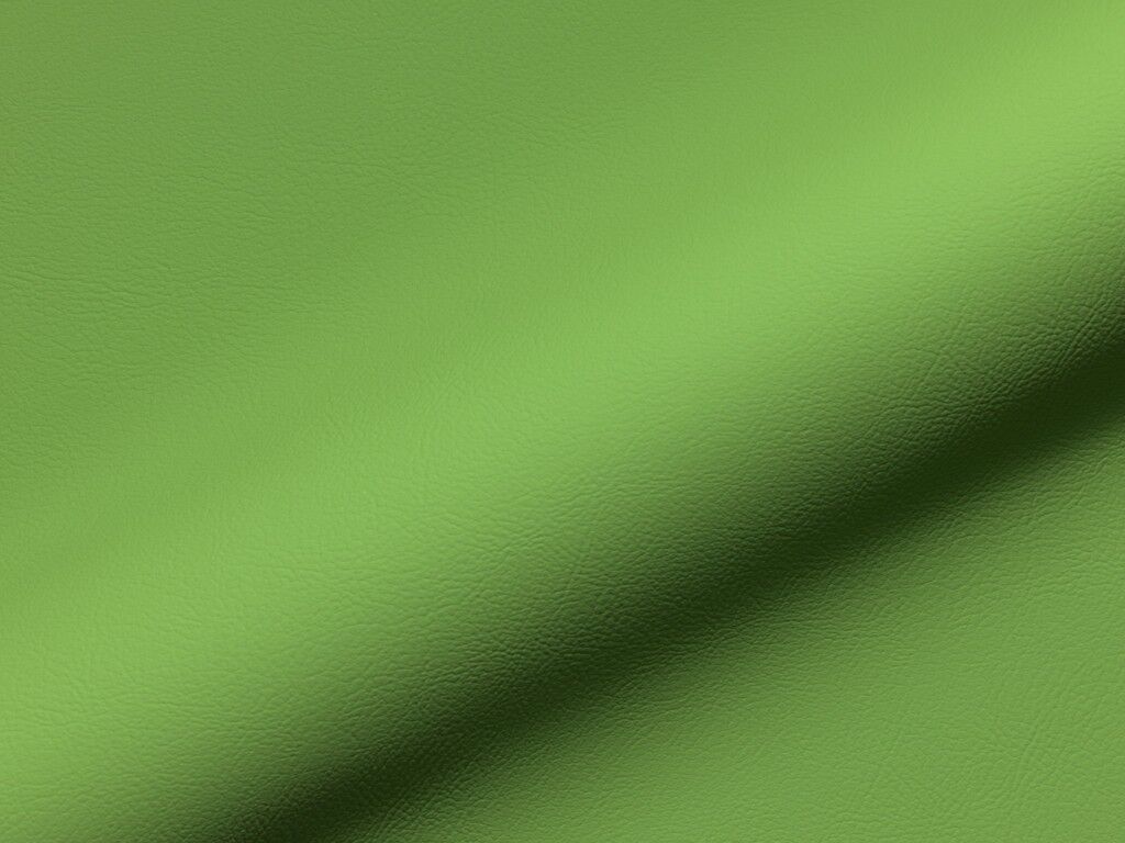 Rio Fr 941 Hoepke Kunstleder Meterware Gruen