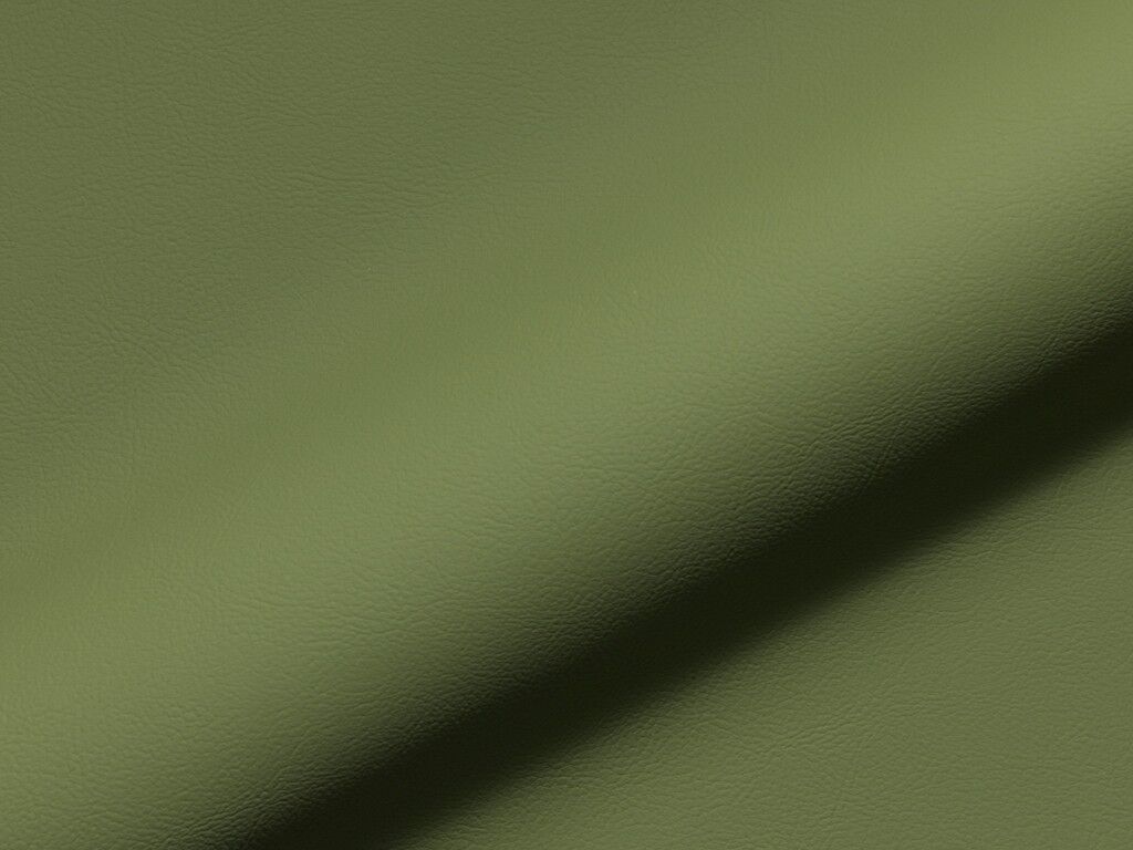 Rio Fr 943 Hoepke Kunstleder Meterware Gruen