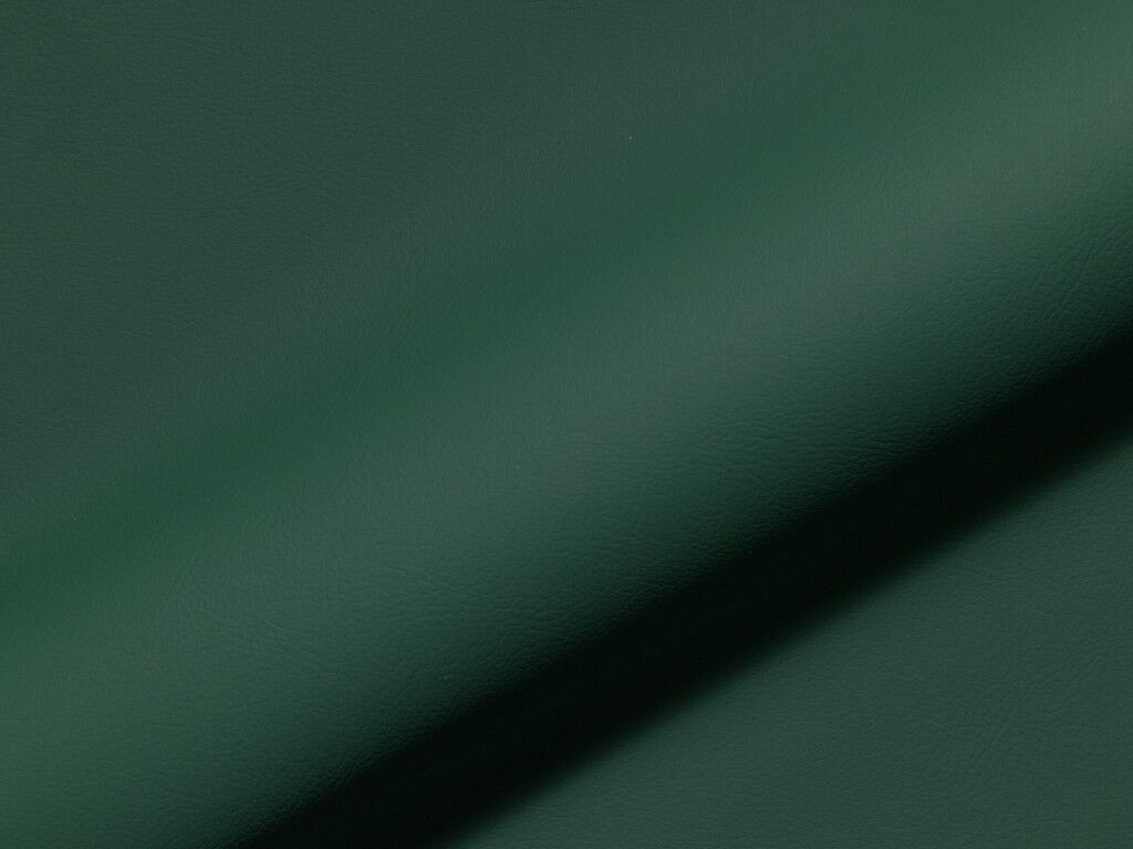 Rio Fr 944 Hoepke Kunstleder Meterware Gruen