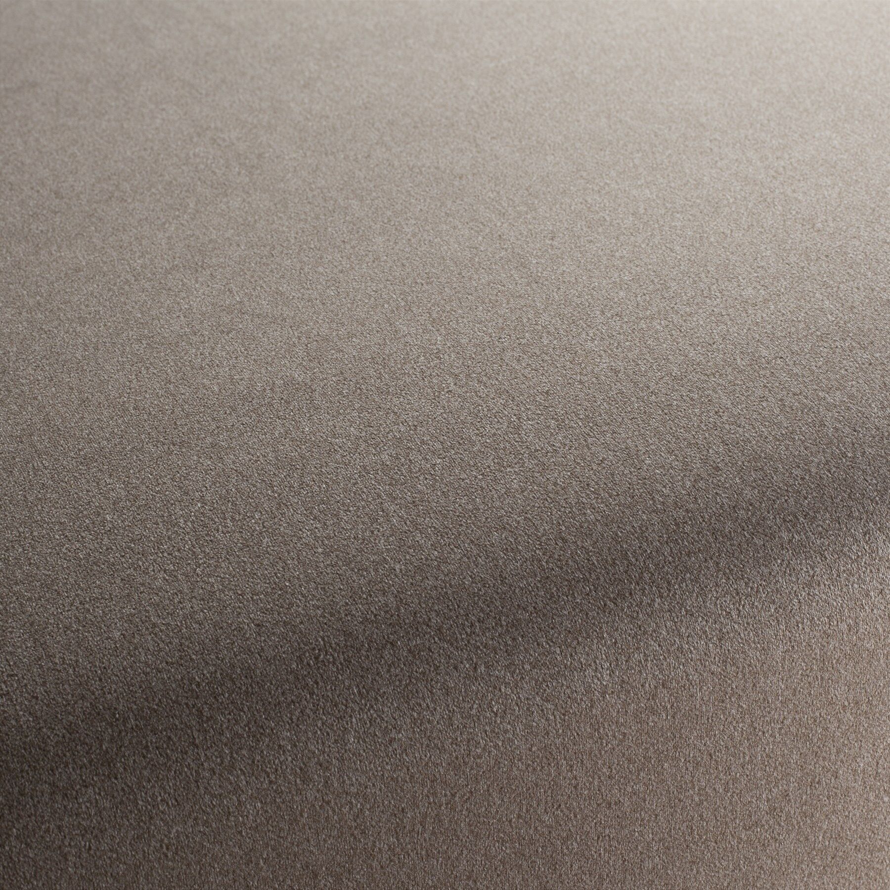 Ch3090 024 Shallow Chivasso Polsterstoff Samt Braun Ch3090 024 Shallow Chivasso Polsterstoff Samt Braun