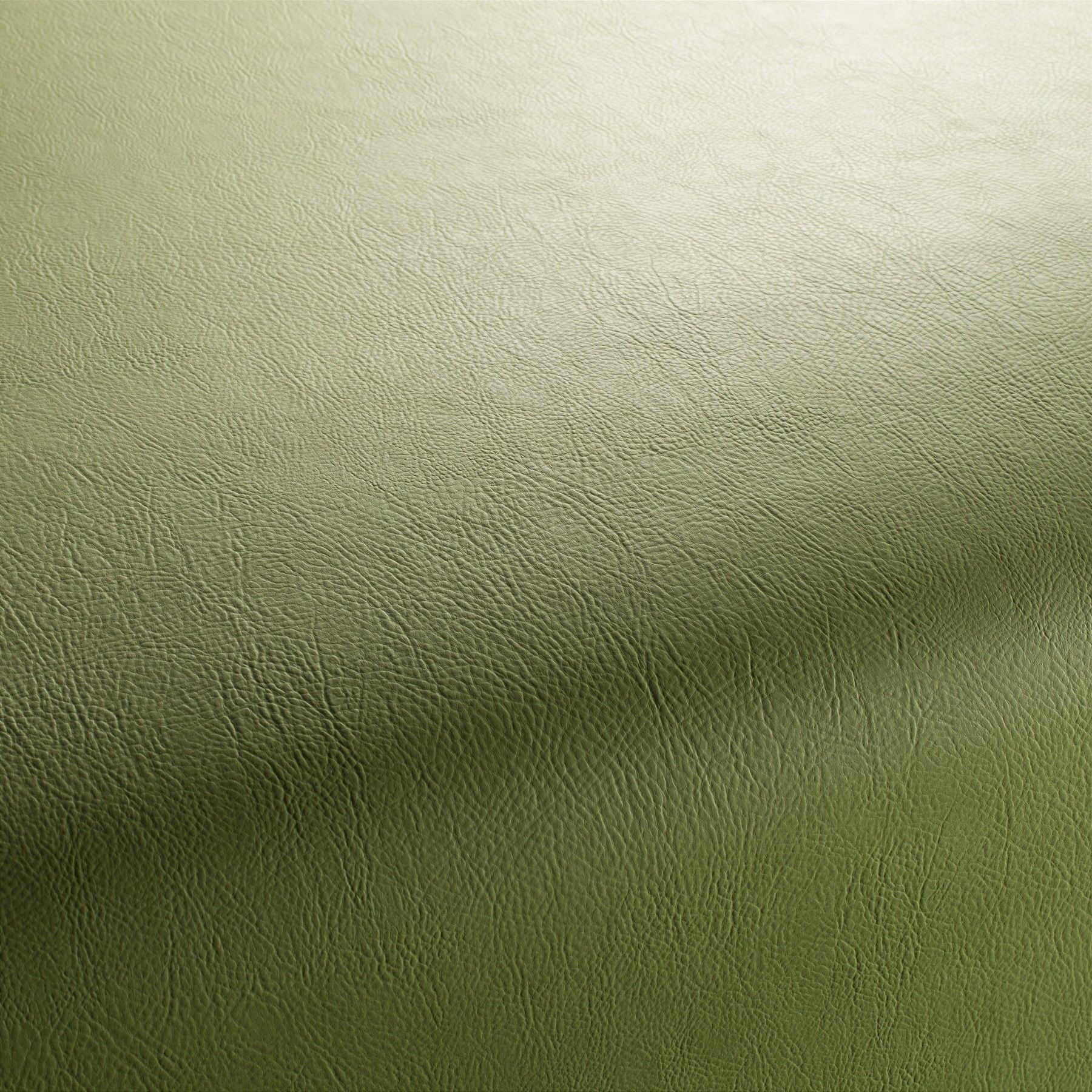 1 1311 030 Jab Anstoetz Gaucho Kunstleder Gruen